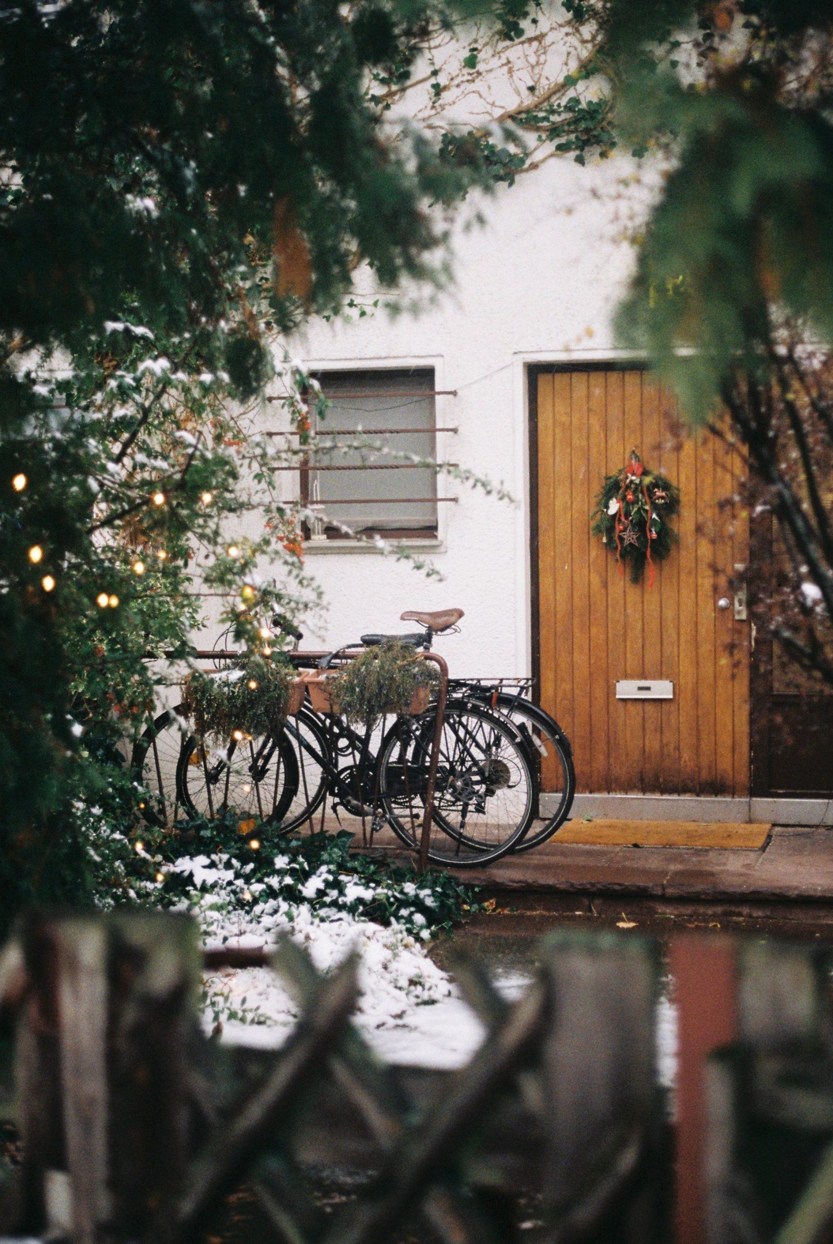 Rustic front door in Berlin adorned with a Christmas wreath, surrounded by bicycles and winter foliage.