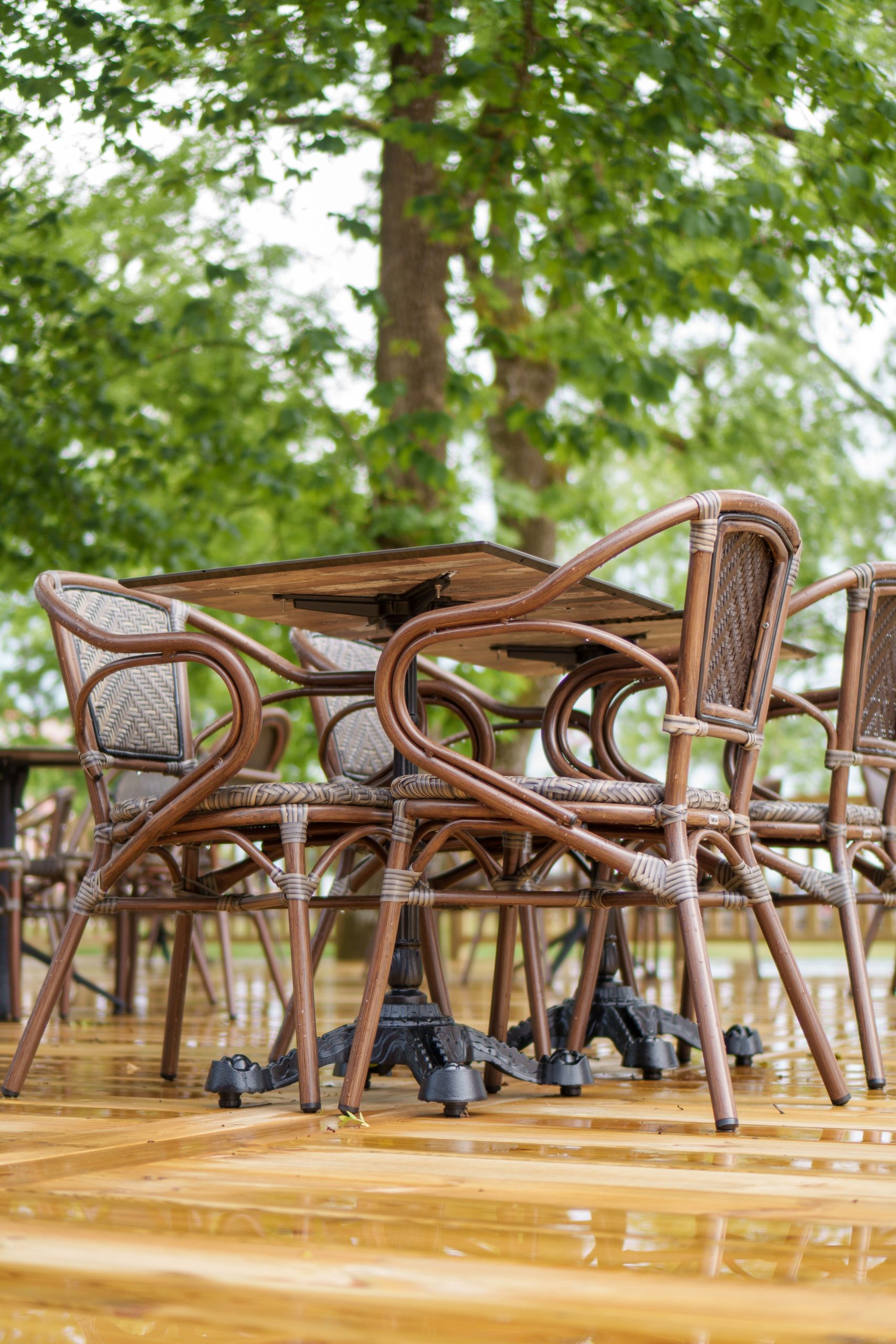 Rustic rattan chairs and table on a wet wooden deck below leafy trees, reflecting tranquility.