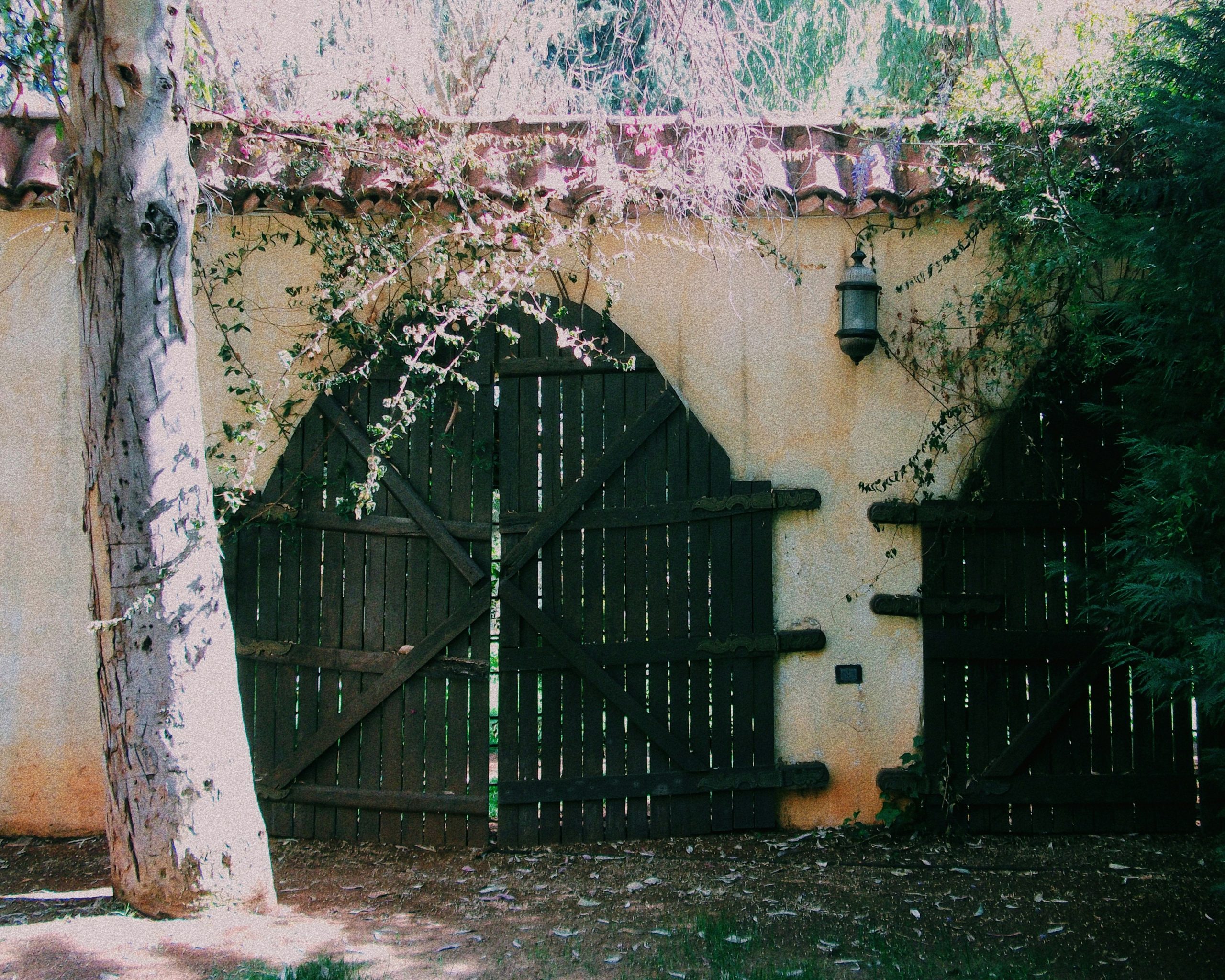 Rustic wooden gate set in a stucco wall