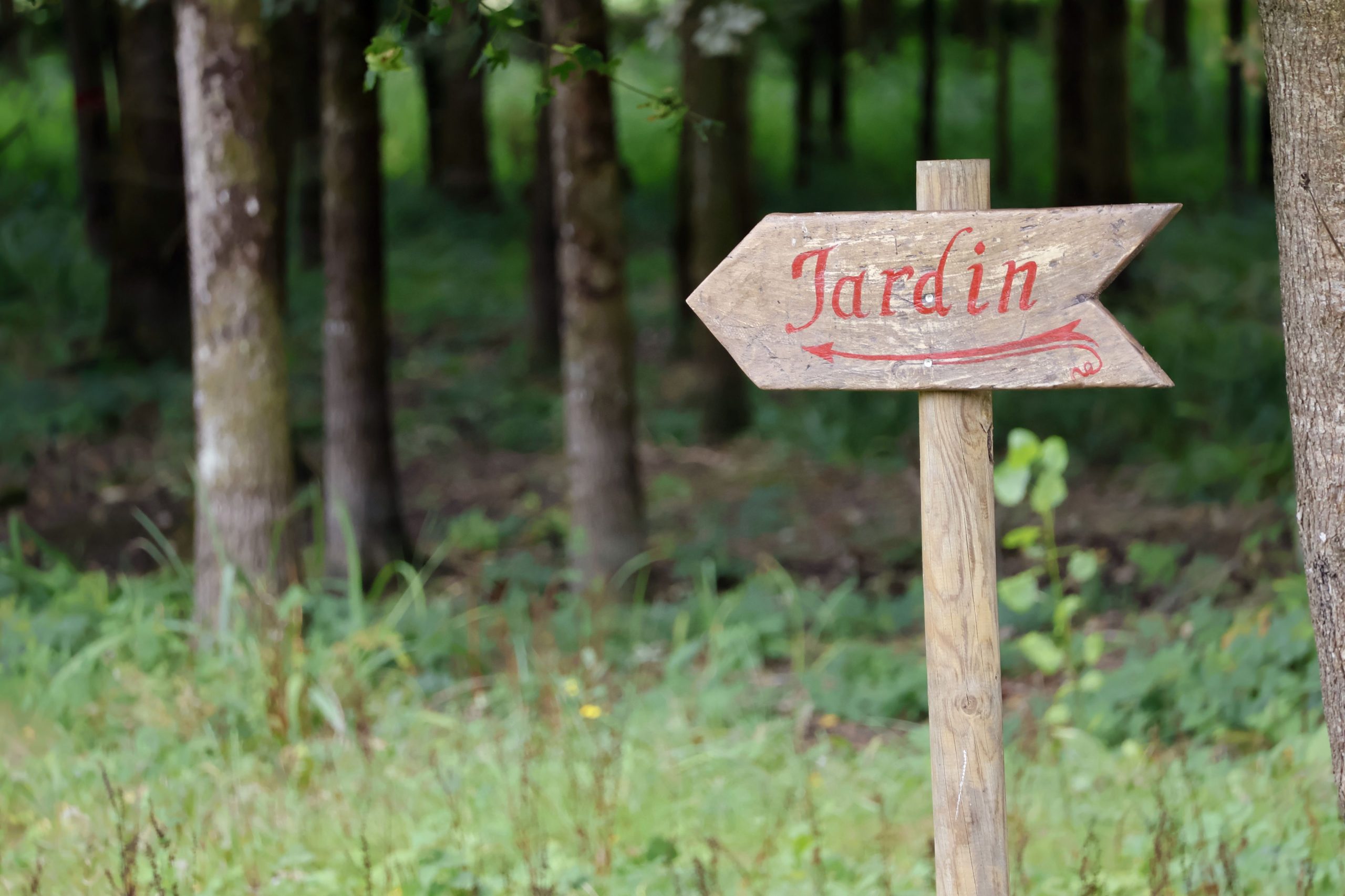 Rustic wooden sign with 'Jardin' indicating garden path in forested area.