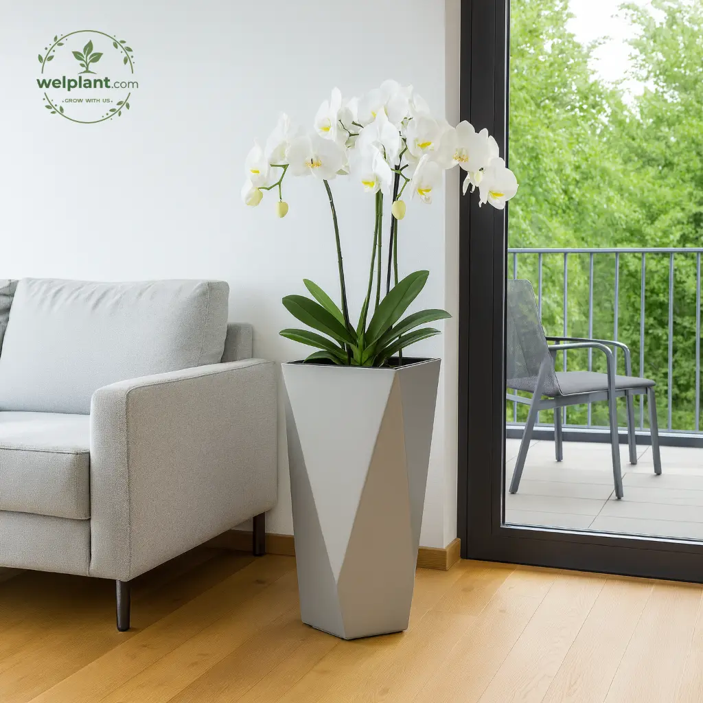 Self‑Watering Painted Pot Series – Modern Geometric Indoor & Outdoor Planters with Built‑In Water Reservoir – WelGarden