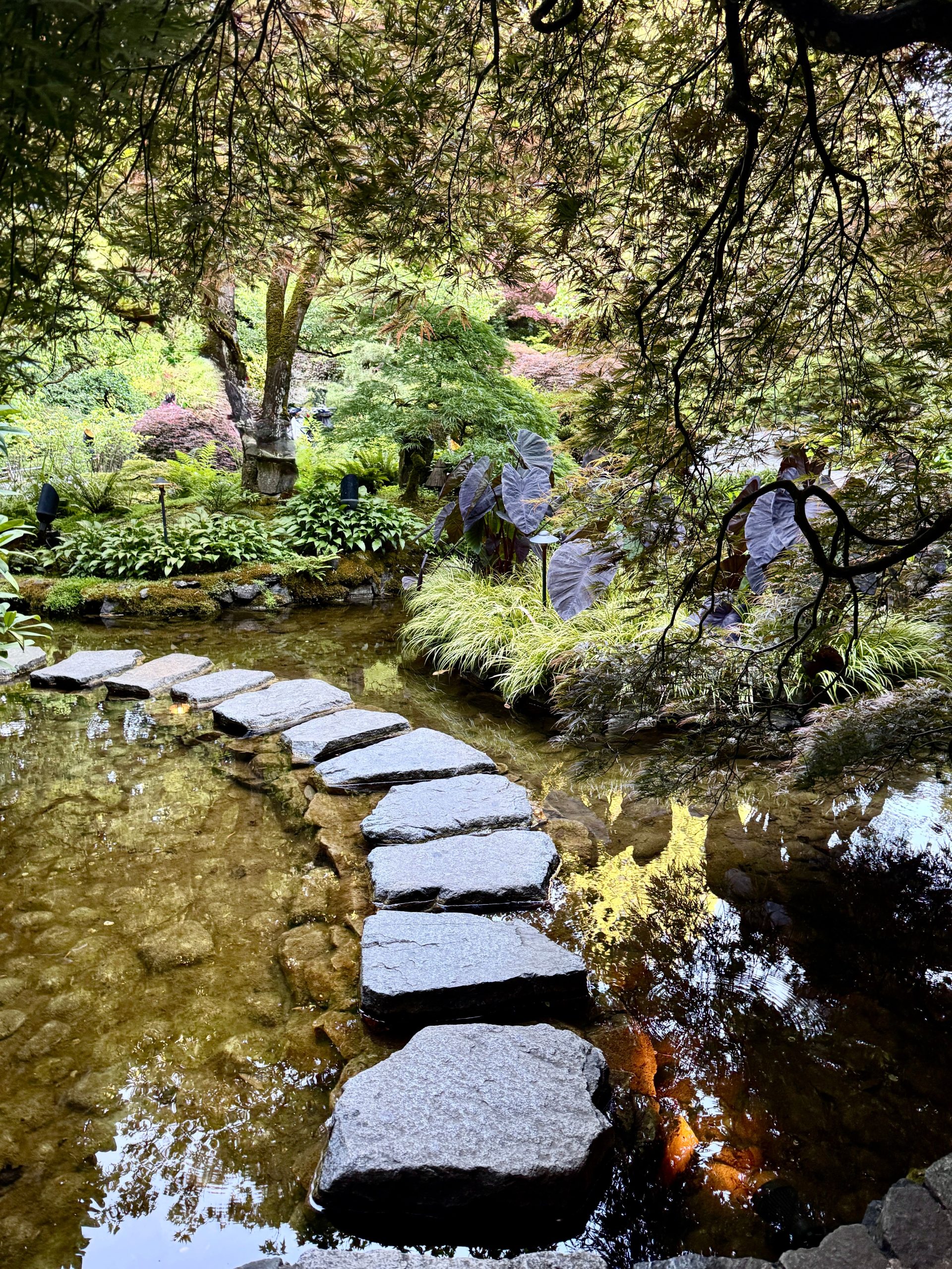 Serene view of a Japanese garden featuring a stone path over a calm pond, surrounded by lush greenery.