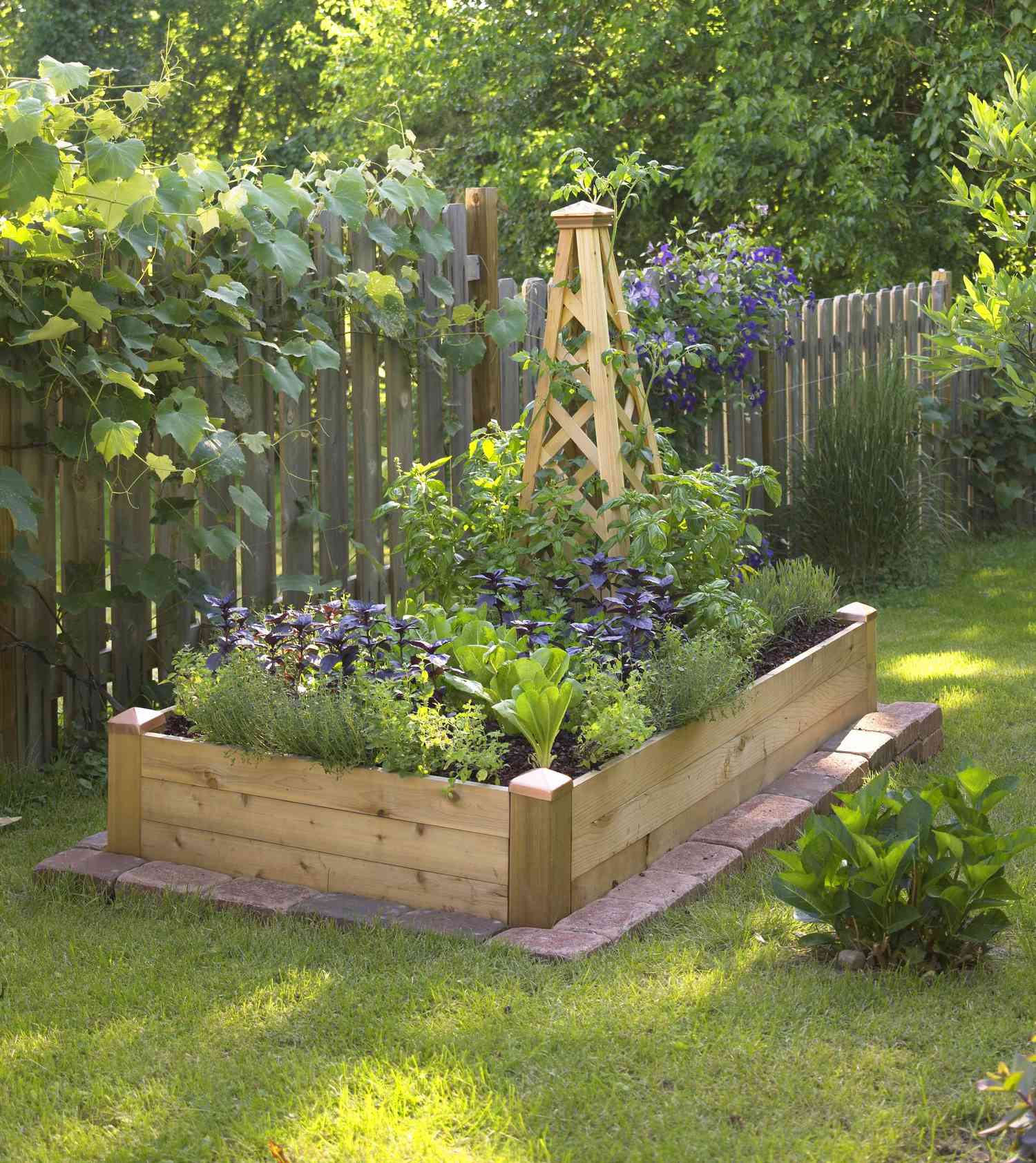 Small-Space Gardening: Build a Tiny Raised Bed