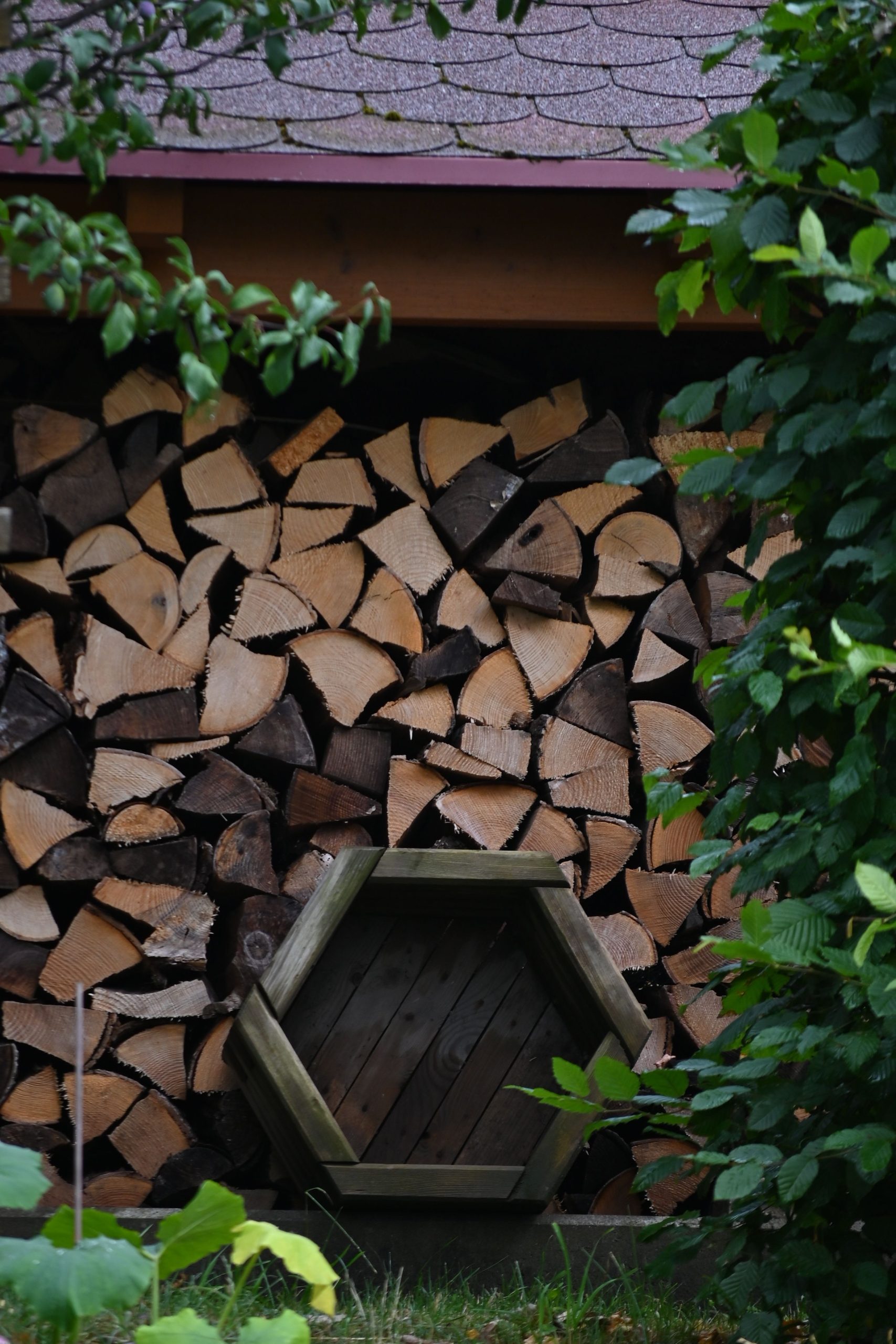Stacked firewood outdoors with a wooden hexagonal design amidst greenery.
