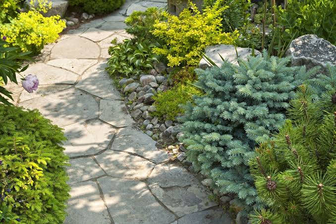 Stepping Stone Walkway Ideas - The Rock Garden