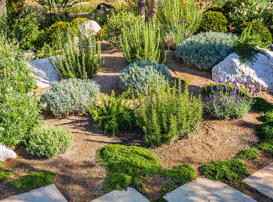 Stunning Las Vegas Landscaping Ideas in Drought Conditions