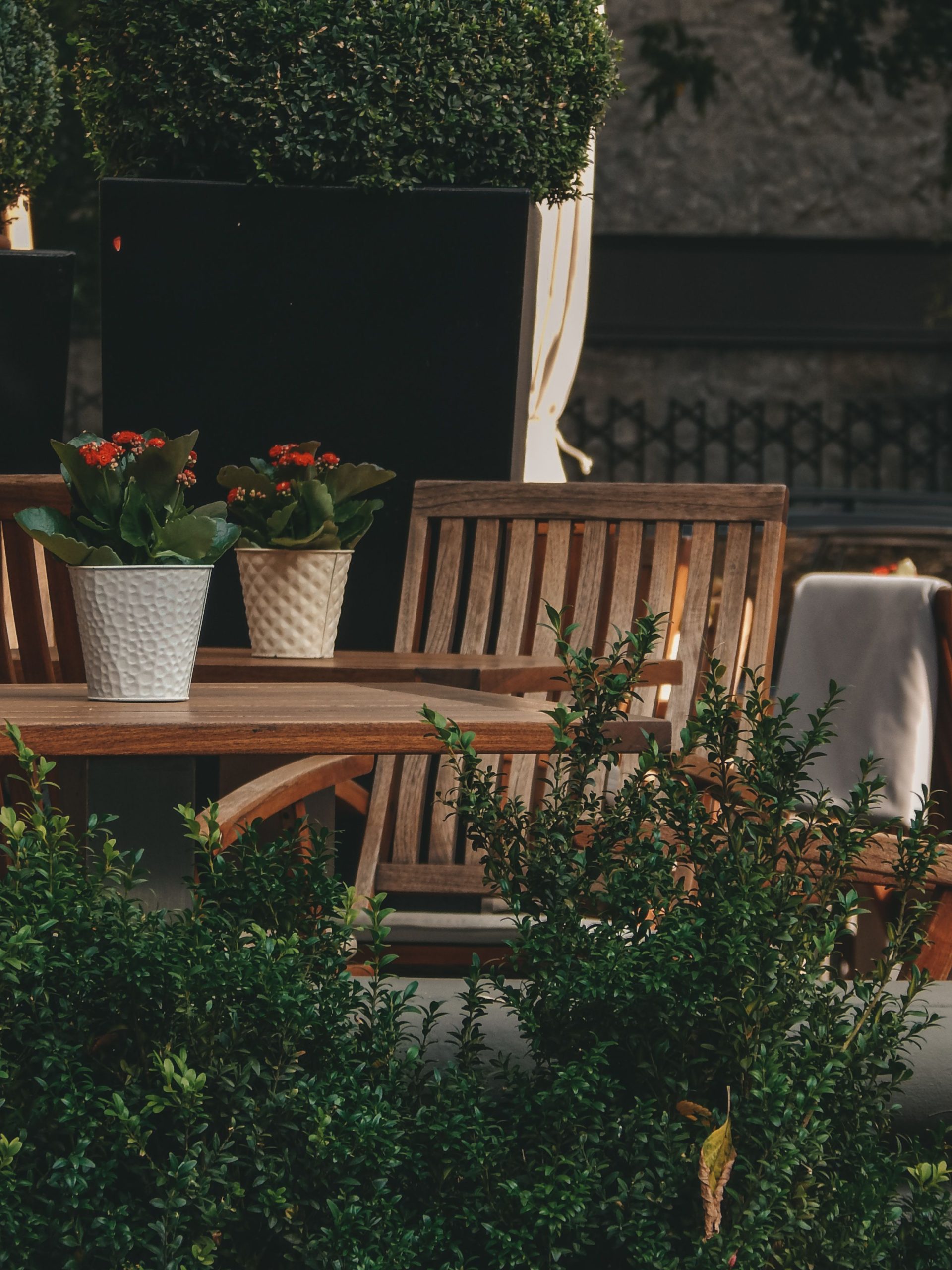 Sunlit outdoor patio featuring wooden chairs, table, and vibrant potted flowers creating a cozy garden atmosphere.