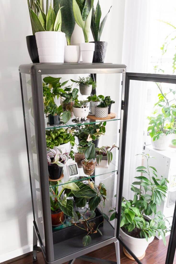 Super Easy) DIY Indoor Greenhouse Ideas • The Garden Glove
