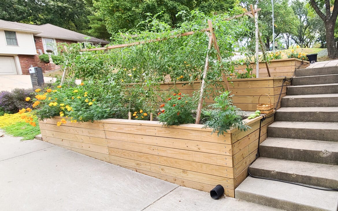 Terraced Garden Beds After One Year - Words of Advice - Big Living | Little Footprint