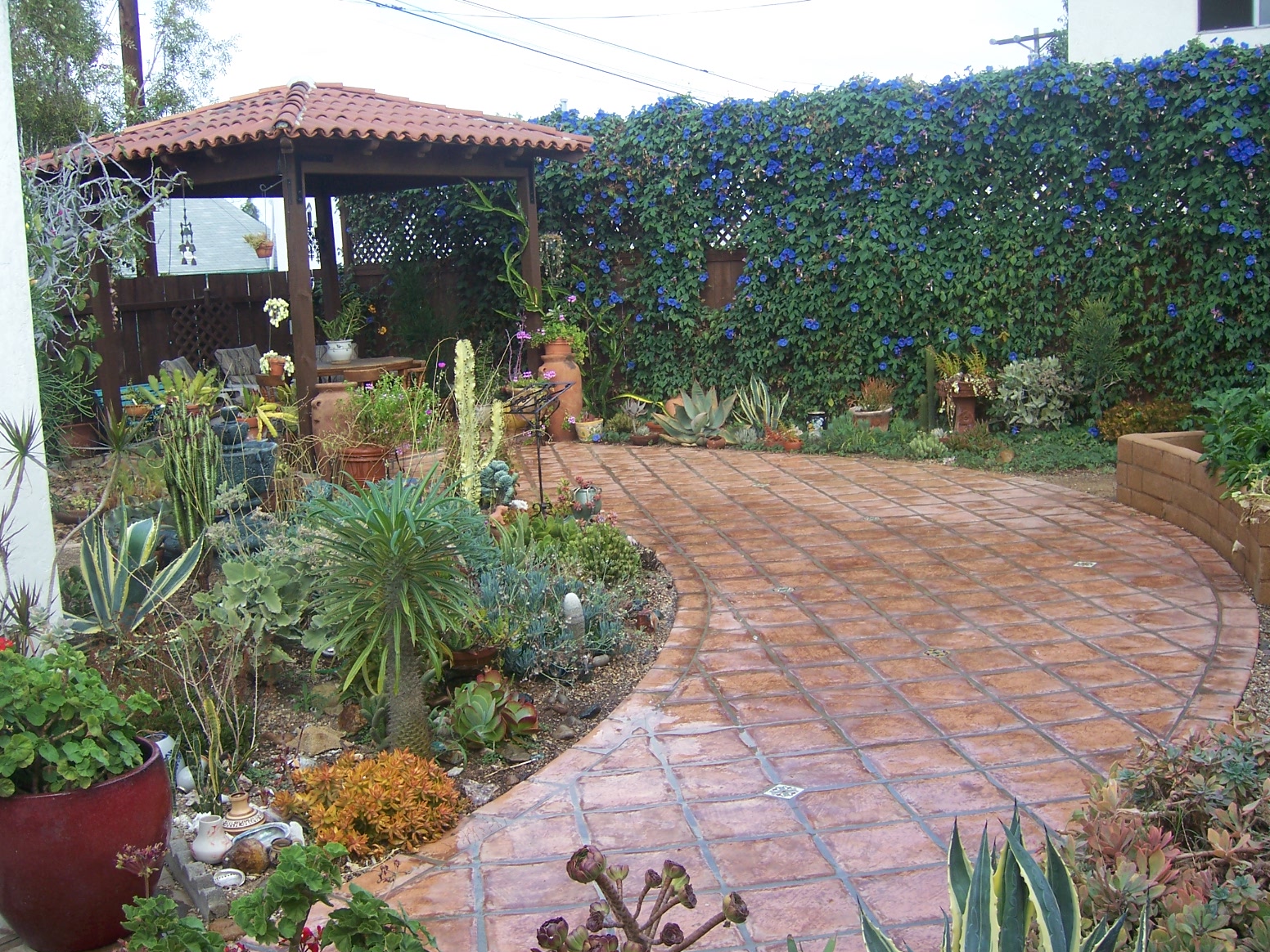 The 2 Minute Gardener: Photo - Succulent Garden with Saltillo Tile Patio