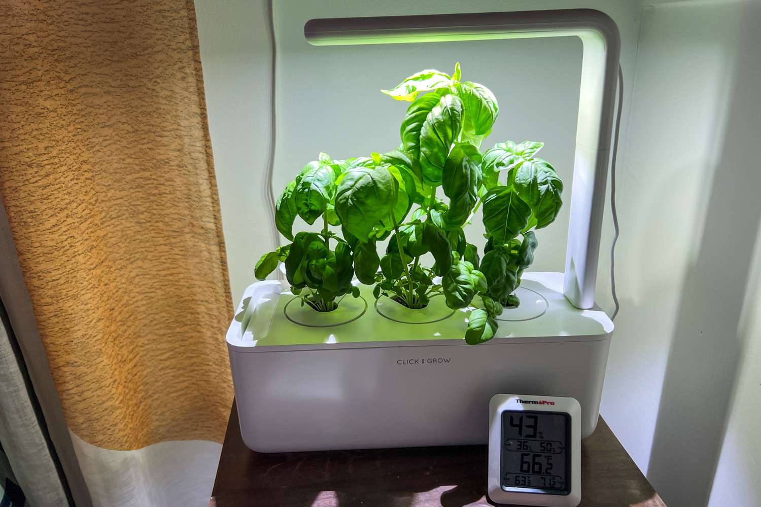 The 7 Best Indoor Herb Gardens, Tested and Reviewed