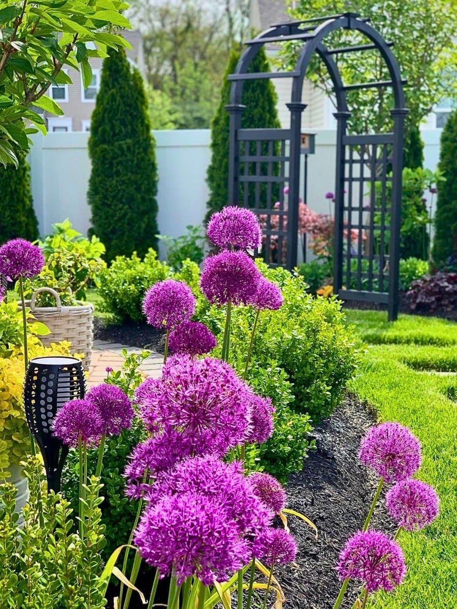 The Best 10 Summer Flowers That Bloom All Summer for Your Garden, Pottin...