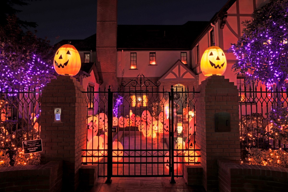 The Best Outdoor Halloween Lights for 2022 – Ollny