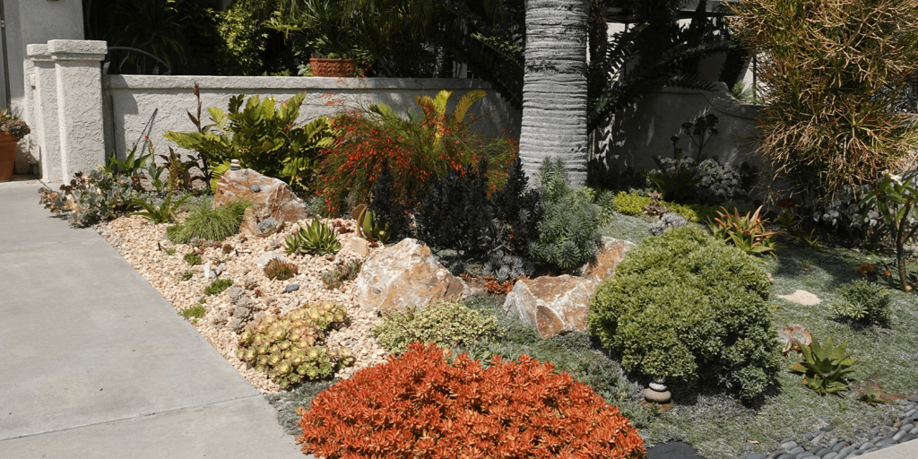 The Guiding Principles of Xeriscaping in Your South Florida Garden | Living Color Garden Center