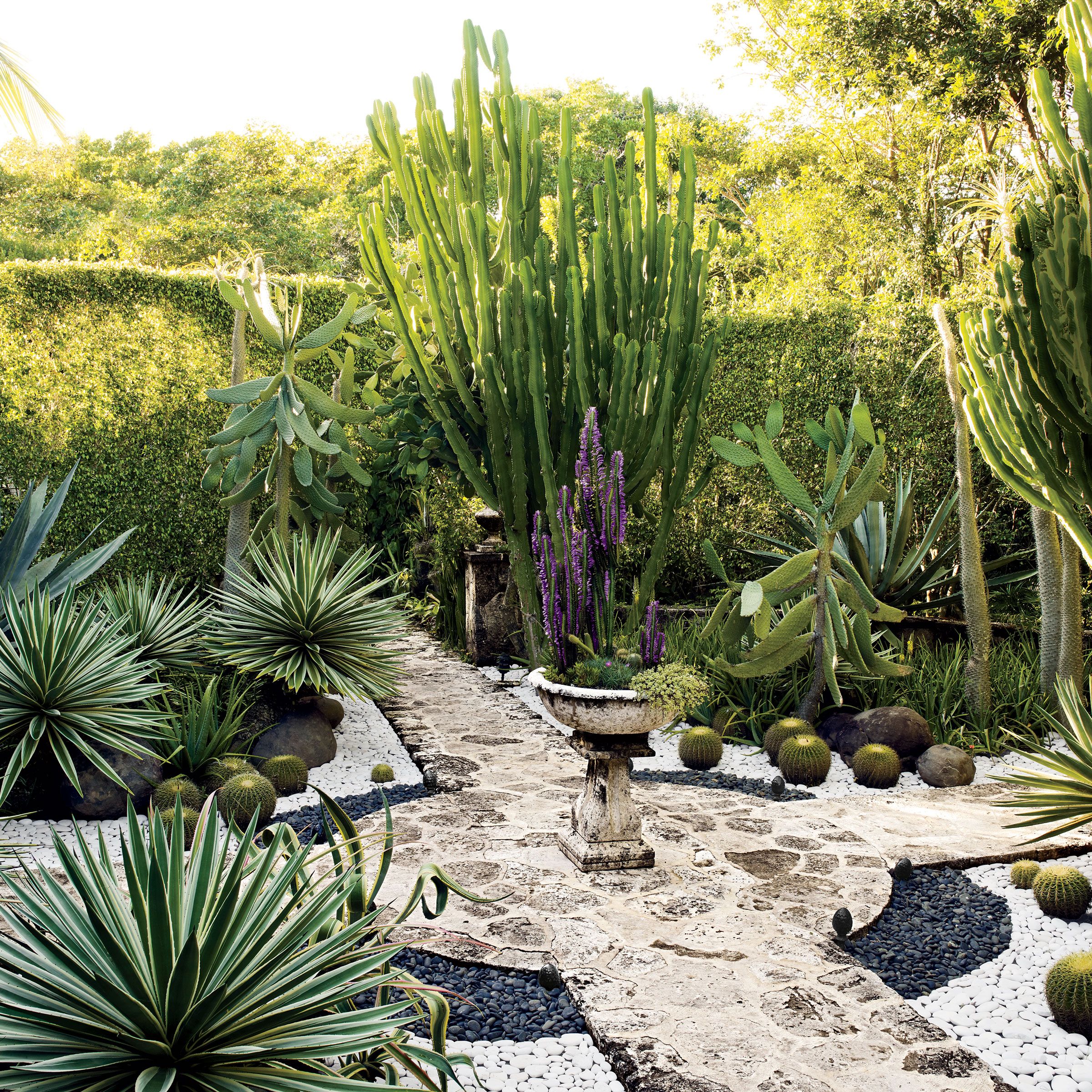These Homes Feature the Best Plants for a Desert Landscape | Architectural Digest