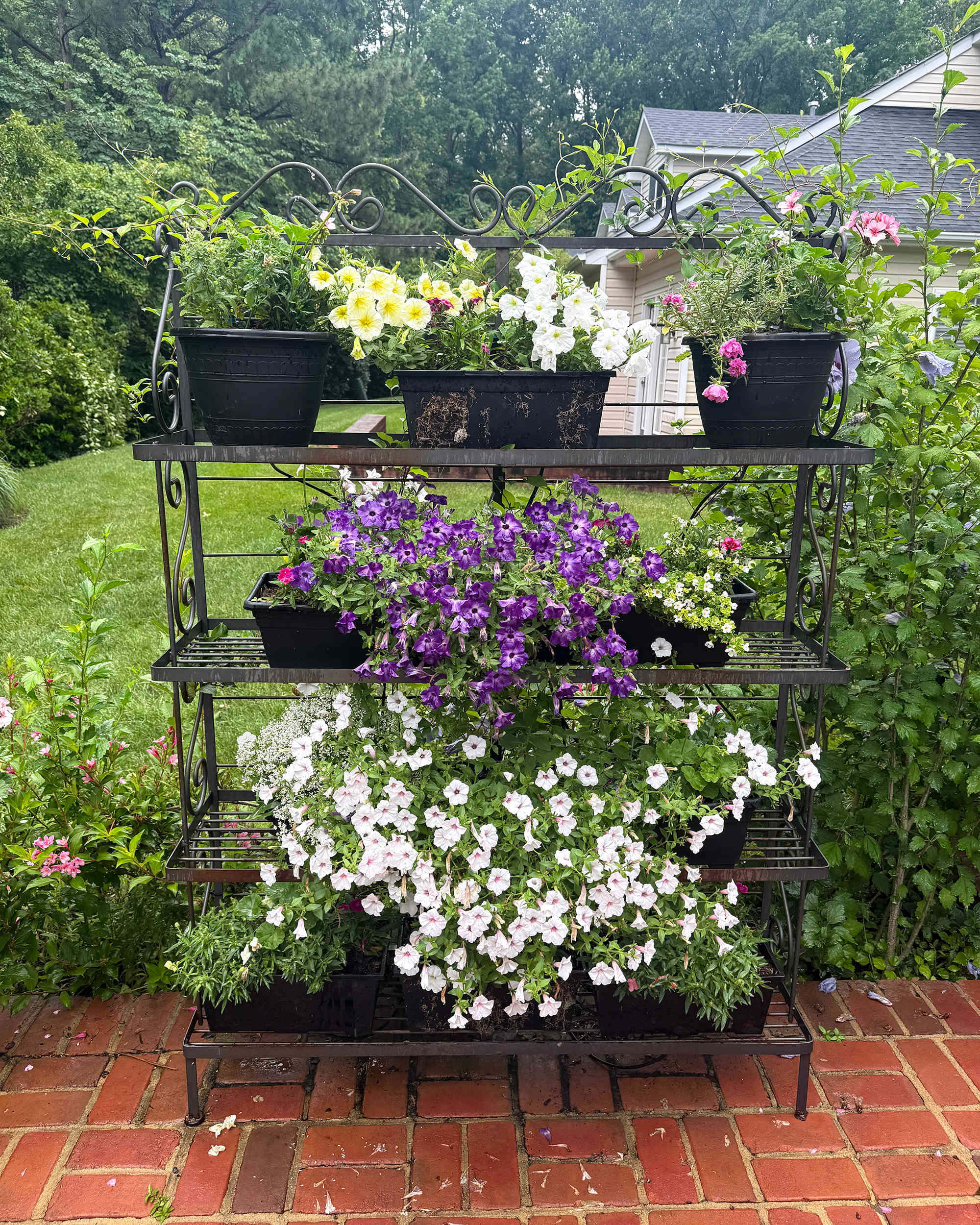 This Kitchen Staple Just Became My Favorite Outdoor Plant Hack | Apartment Therapy