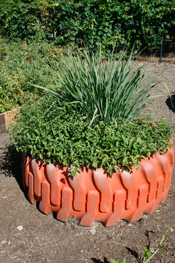 Tire planters – on the roll in gardens – by Diane Morey Sitton - Neil Sperry's GARDENS