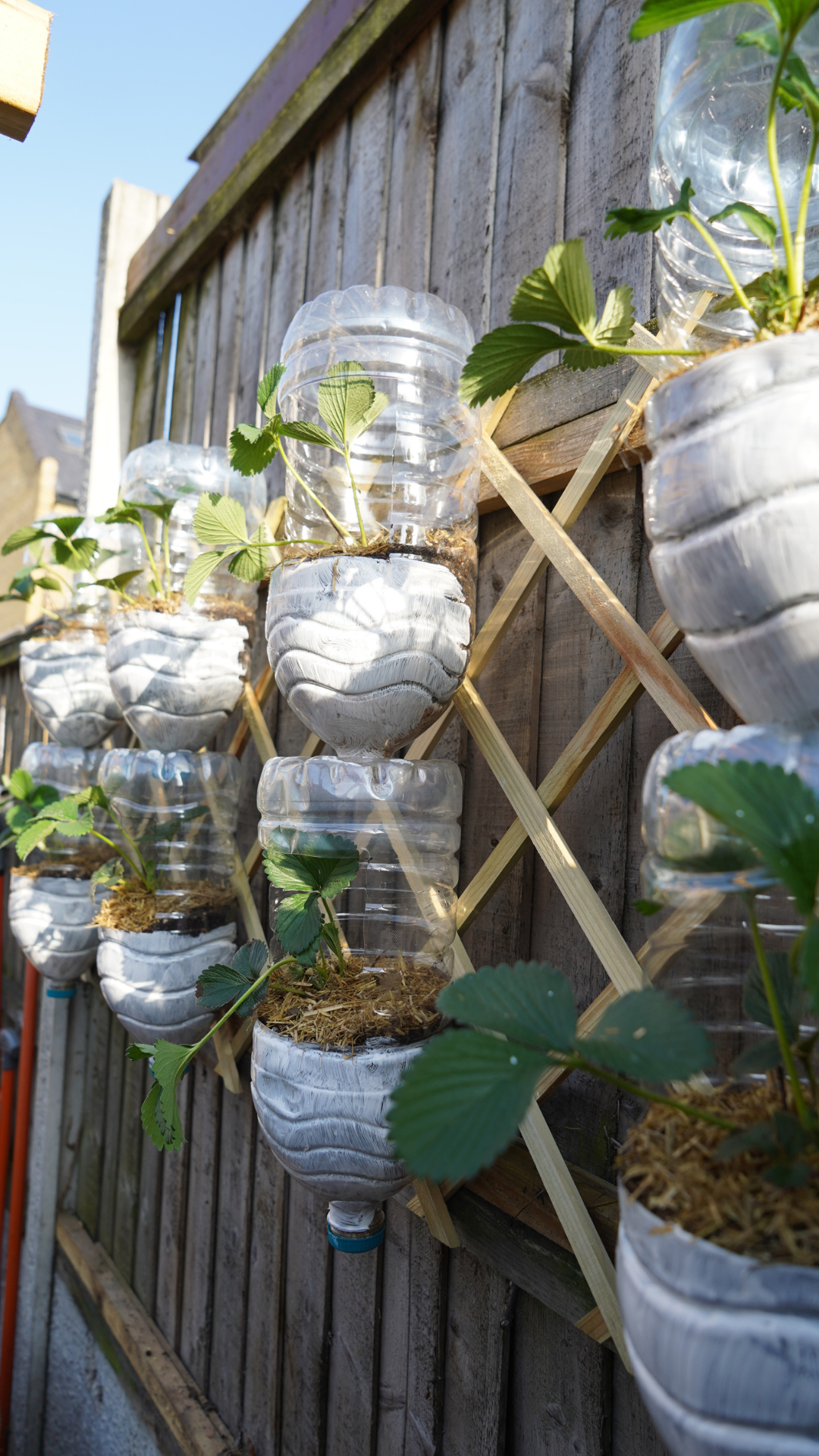 Transform Your Space: The Ultimate Guide to DIY Vertical Gardening | Spicy Moustache