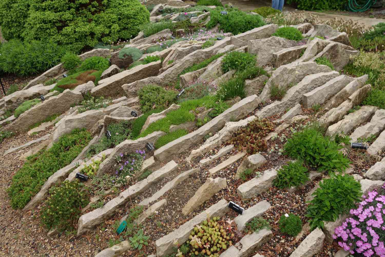 Transform Your Yard into a Mini Mountainscape with a Rock Garden