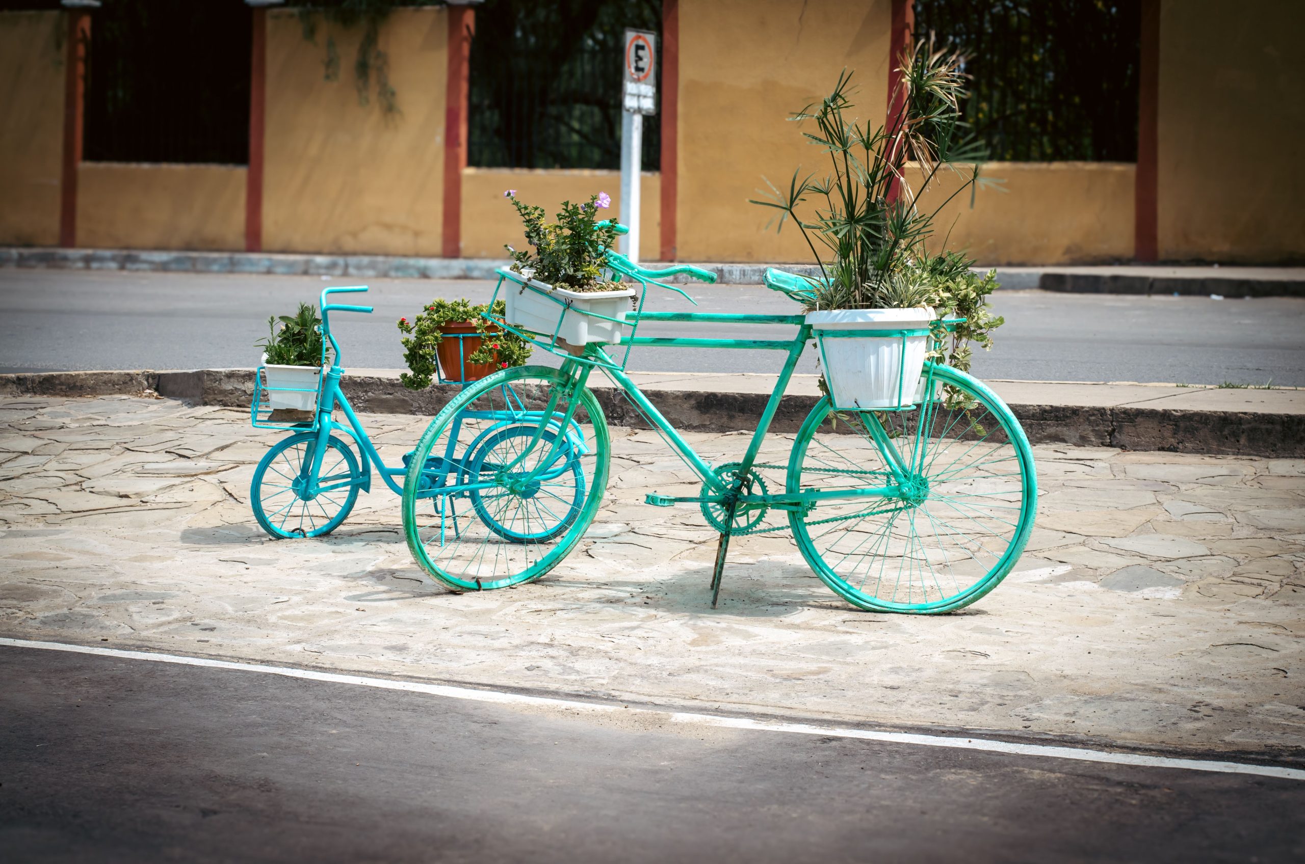 Turquoise bicycles with flower pots in an outdoor Tarija street setting.