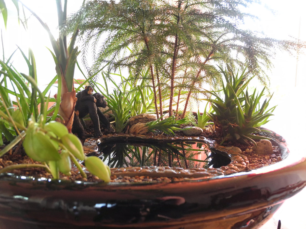 Two Green Thumbs Miniature Garden Center Blog