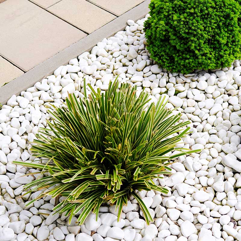 Uses for White Rocks in Landscaping and Design