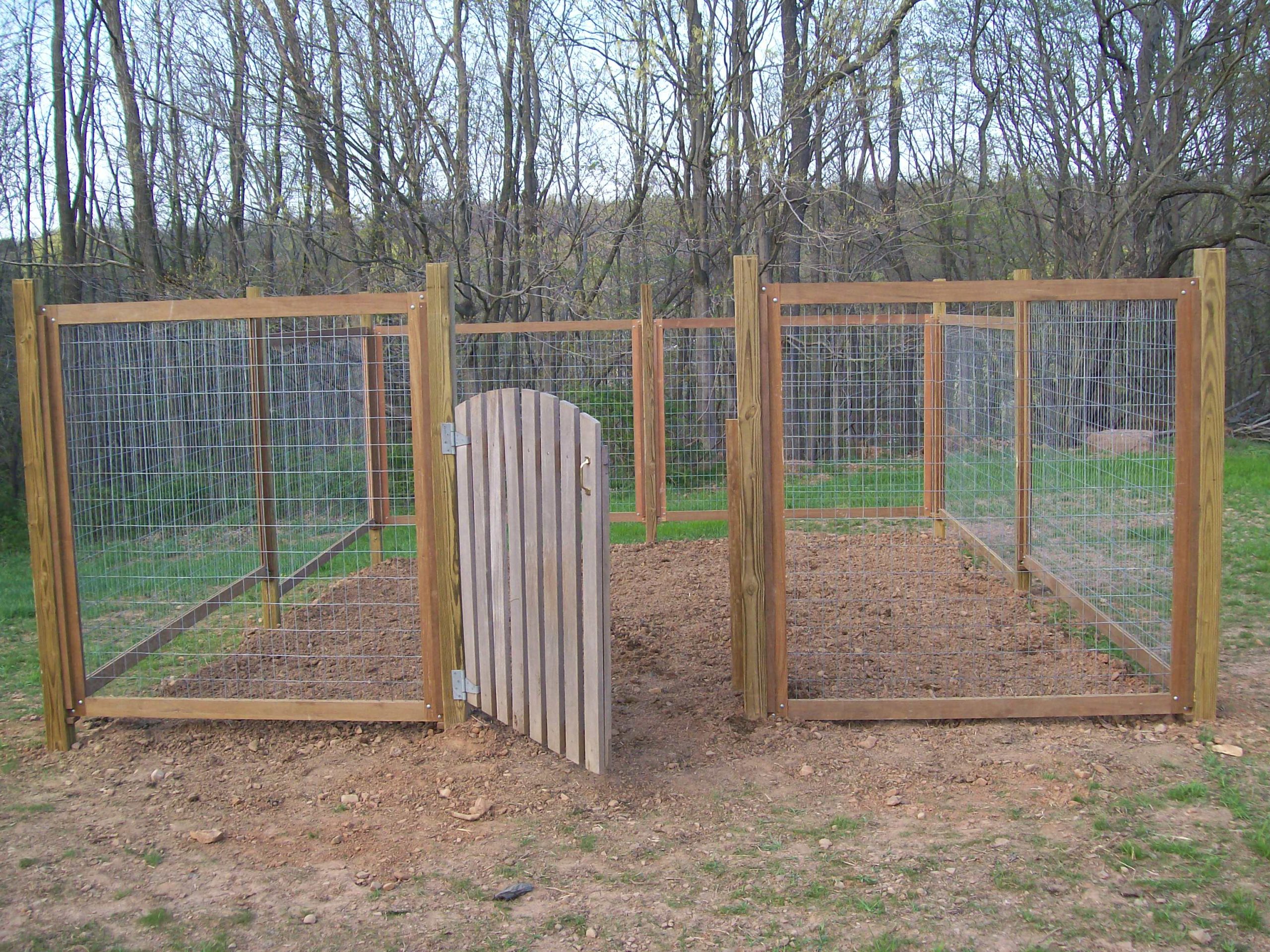 vegetable garden | Farmer's Daughter