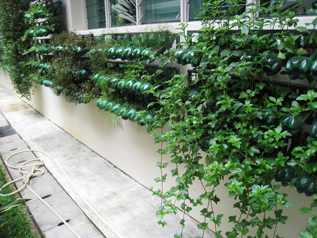 Vertical Gardening with Recyclables! | Dream N Grow It