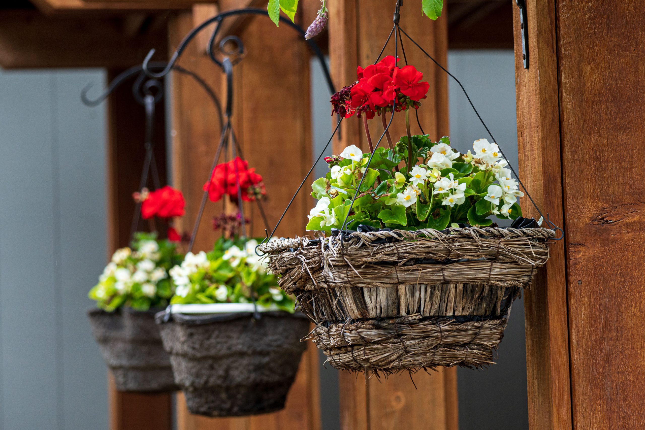 Vibrant hanging baskets with red geraniums and white begonias on wooden posts.