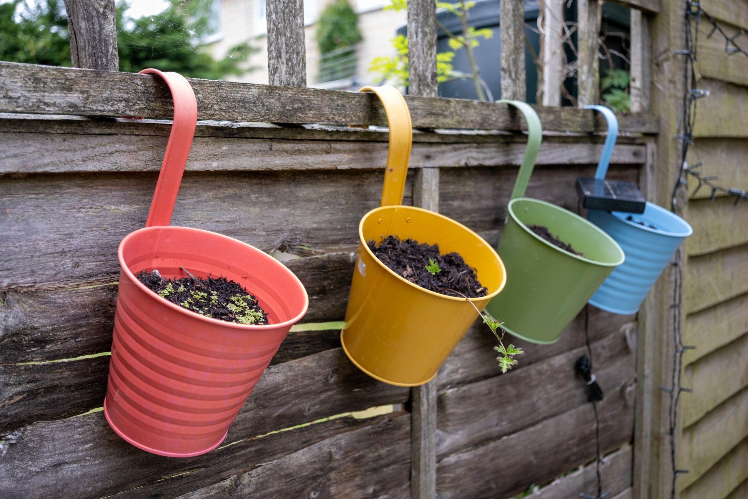 Vibrant planters in a rustic garden setting in Malmesbury, England.