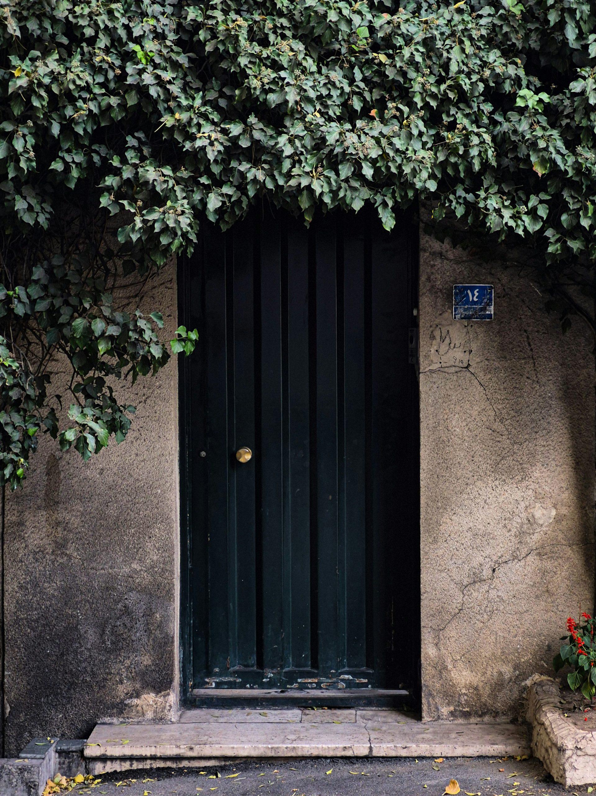 Vintage door