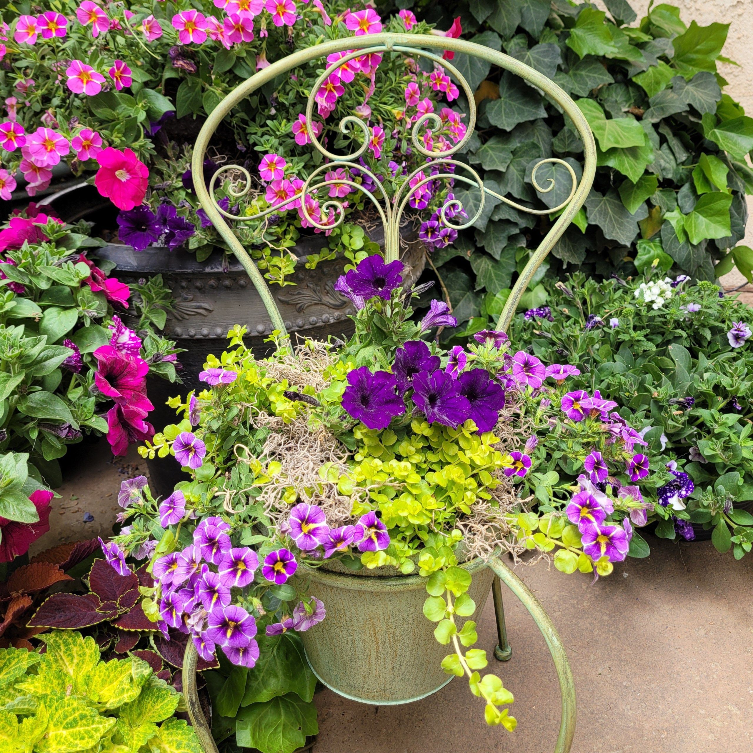 Vintage Style Metal Garden Chair Planter