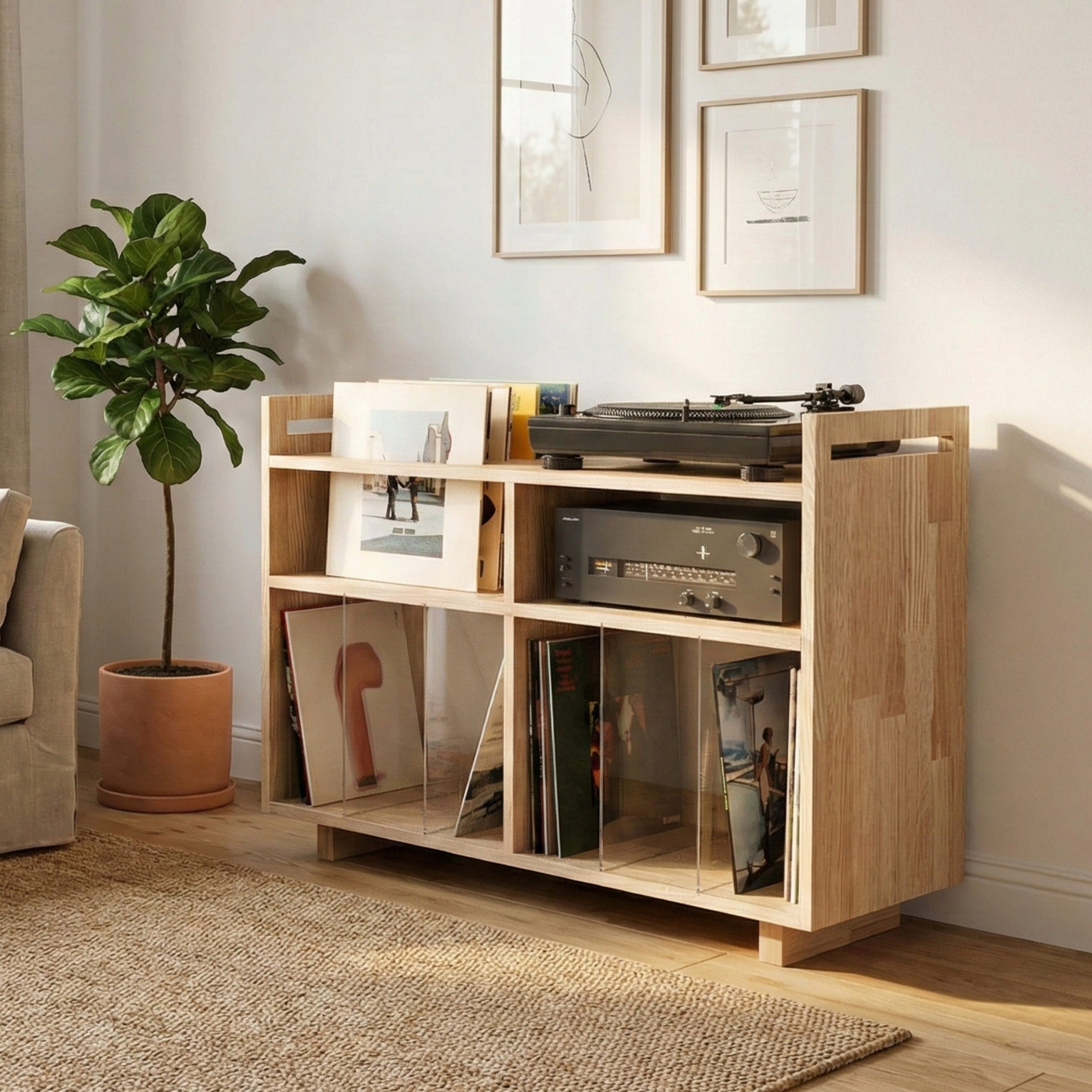 Vinyl Record Storage