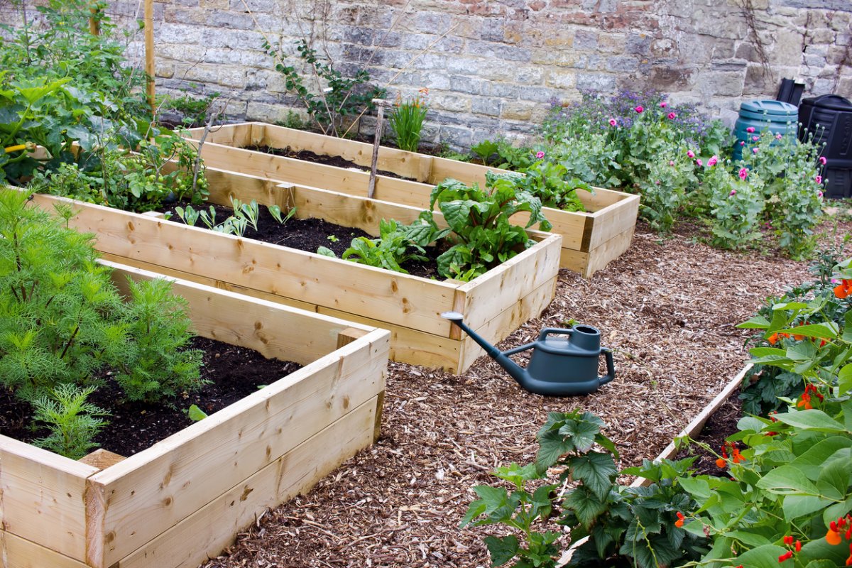 What's the Best Type of Wood for Raised Beds? - Food Gardening Network