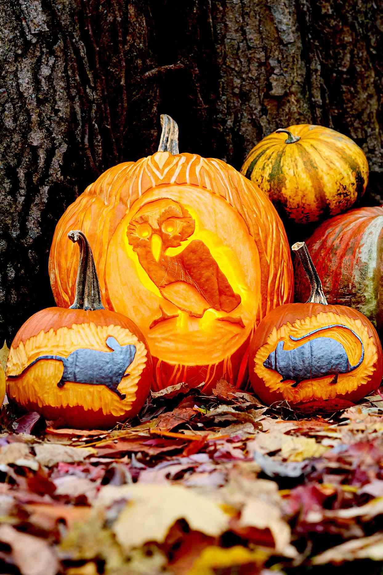 12 Adorable (and Free!) Animal Pumpkin Carving Ideas