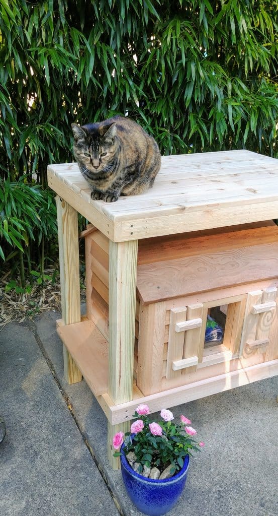 20” Cat House with Platform and Loft - Custom Made in the USA