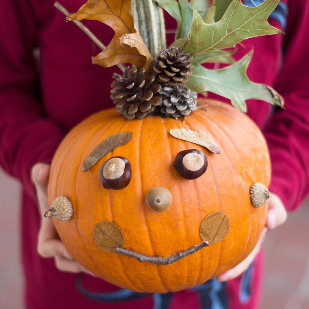 7 Easy No Carve Pumpkin Ideas using Nature - Thimble and Twig