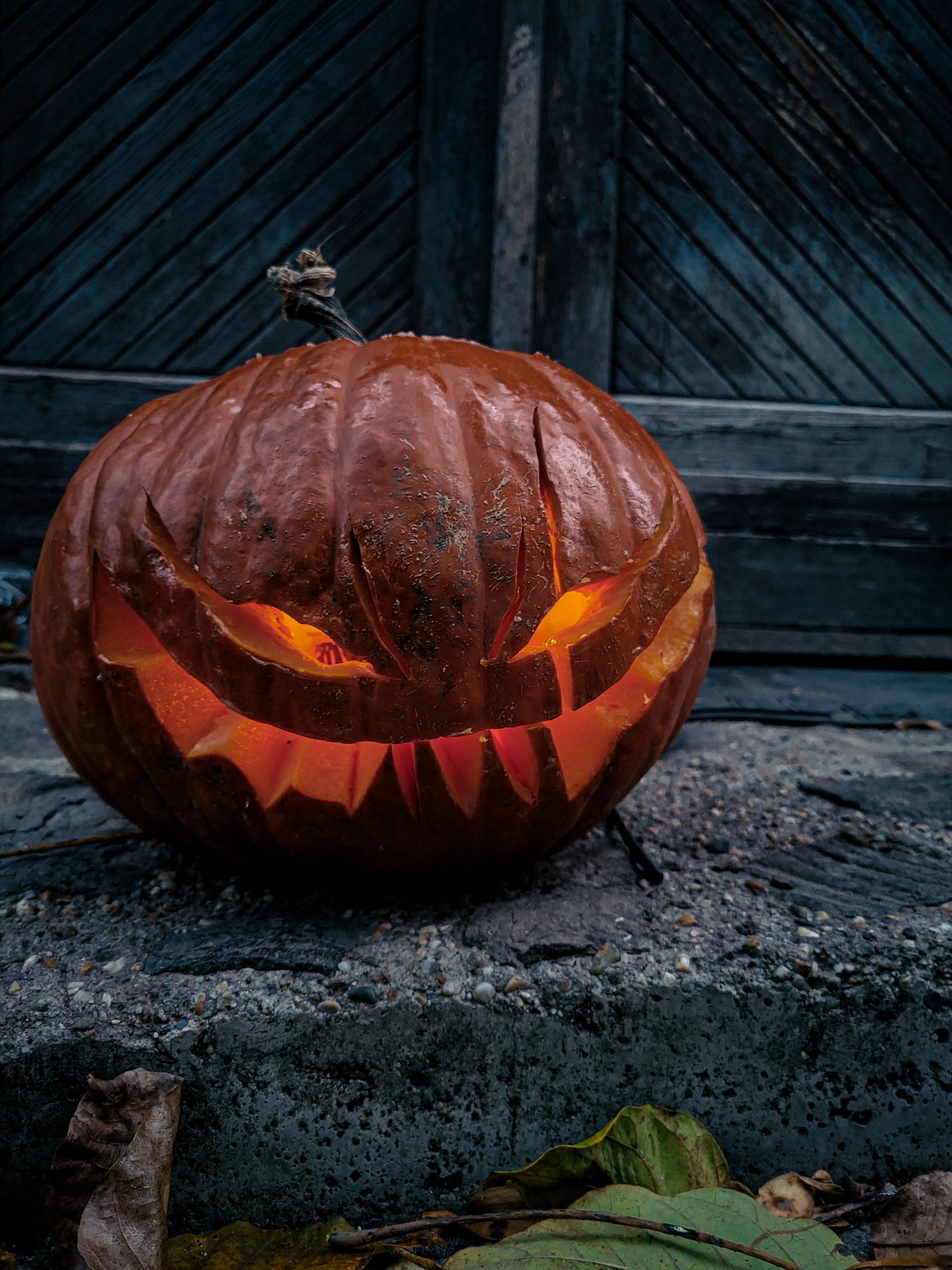 A carved pumpkin glowing in the dark, perfect for Halloween decor outdoors.