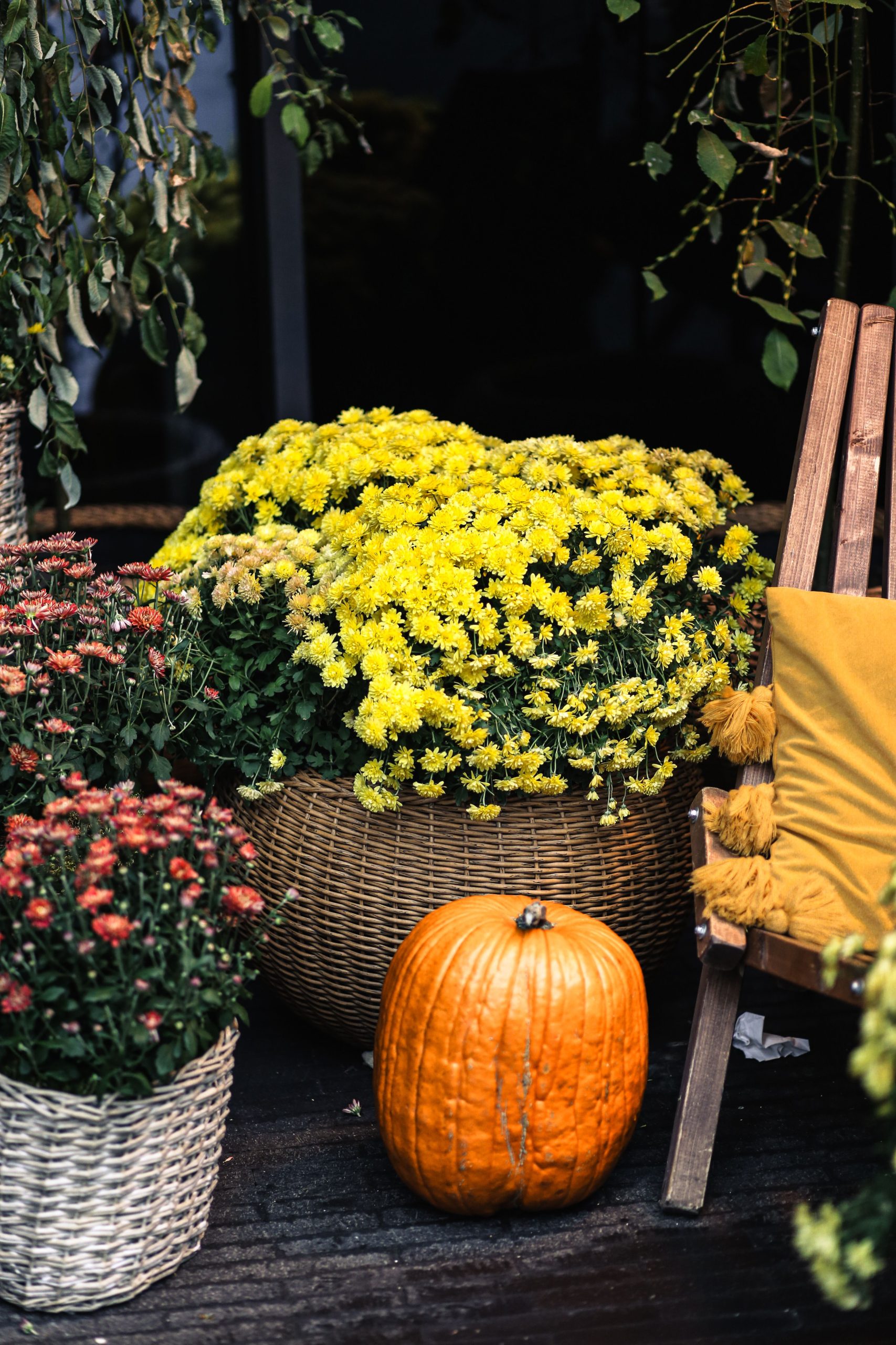 A cozy autumn patio scene featuring pumpkins and vibrant flowers.