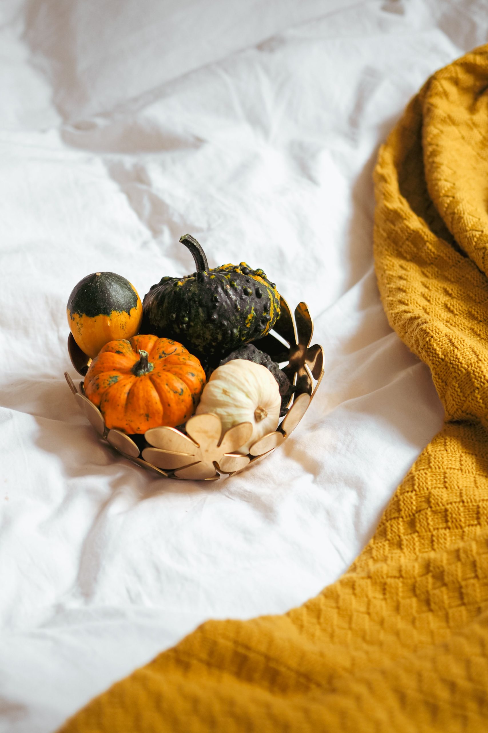 A cozy autumn scene with assorted mini pumpkins in a bowl on soft white linen and a yellow blanket.