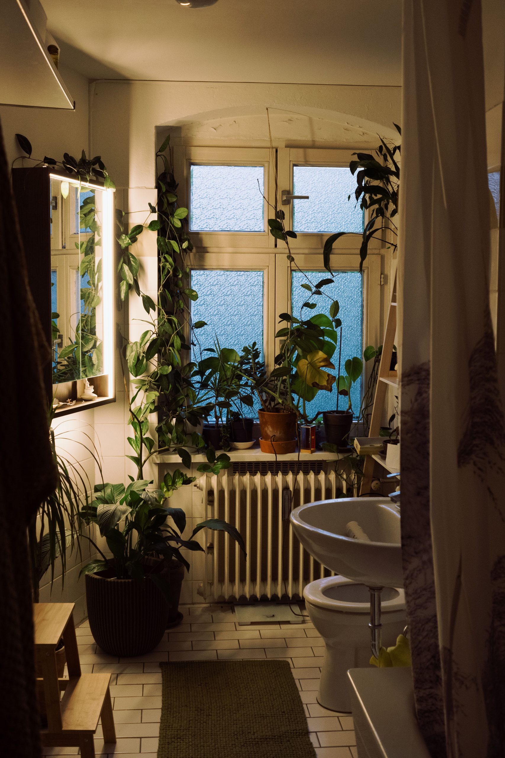 A cozy indoor bathroom in Berlin adorned with lush green plants and natural light.