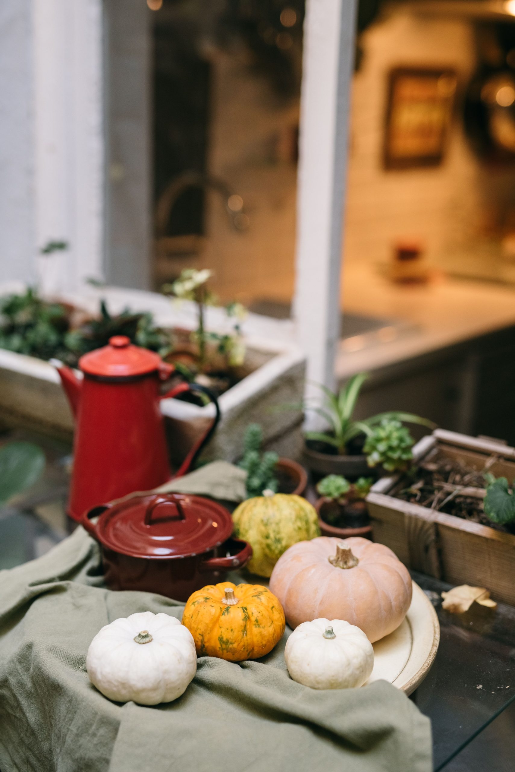 A cozy indoor scene featuring pumpkins, kettle, and potted plants for fall decor inspiration.