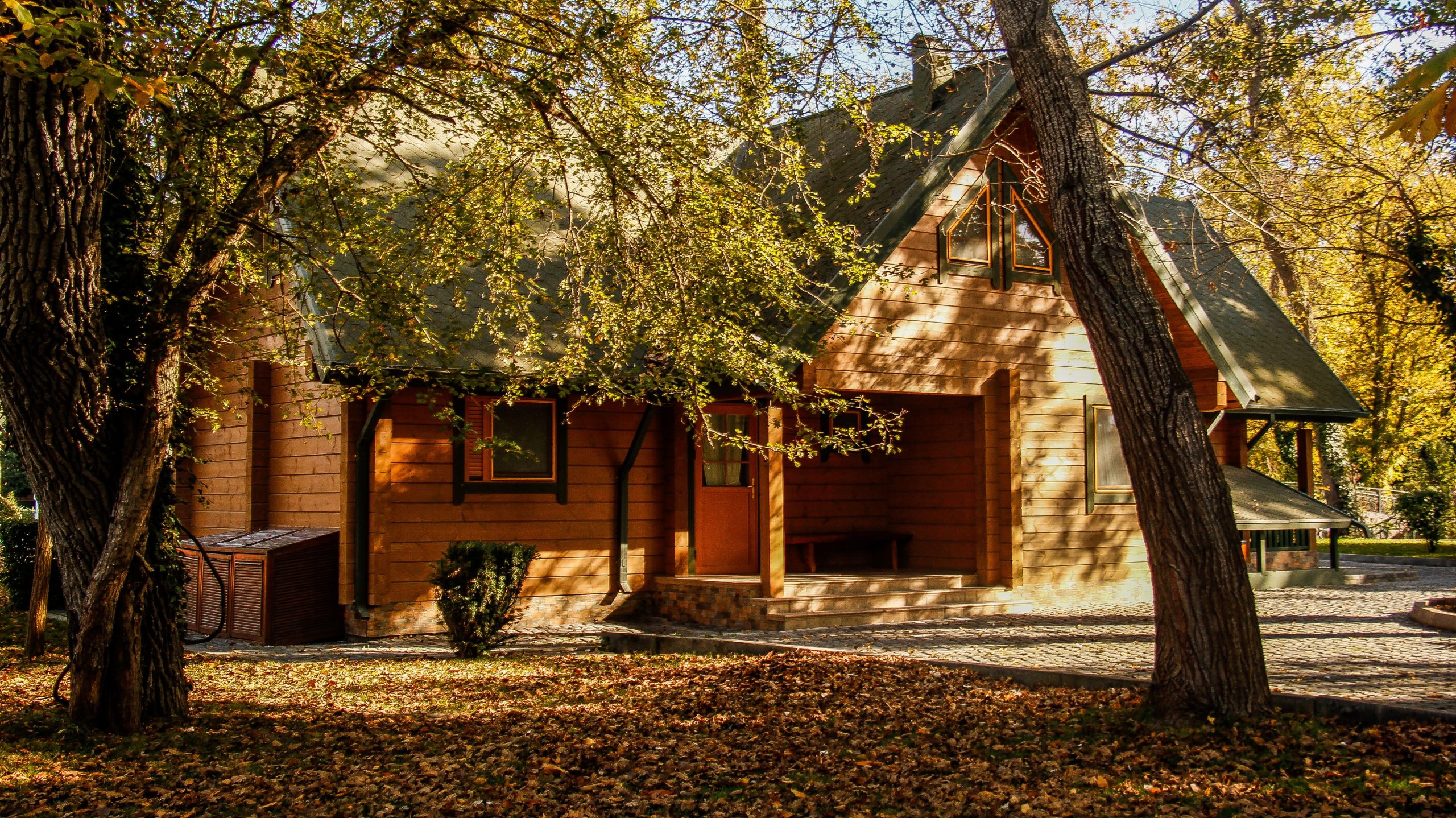 A cozy wooden house amidst autumn foliage, bathed in warm sunlight.