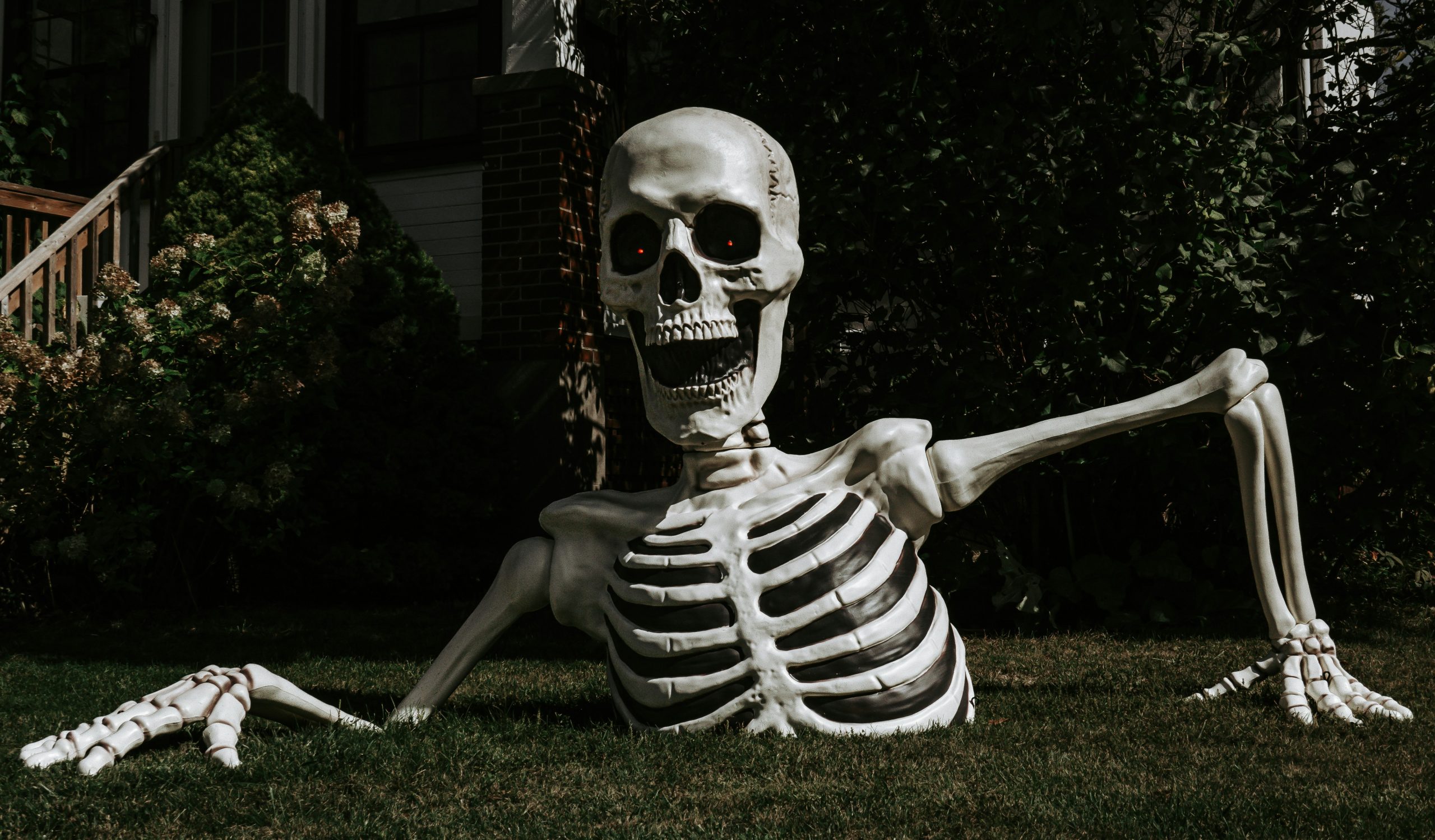 a half-buried Halloween skeleton