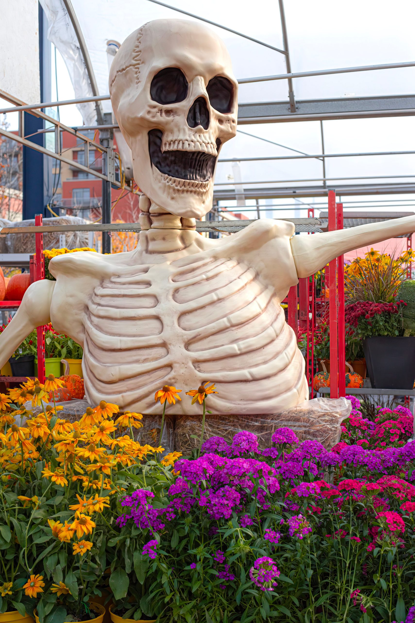 A large skeleton decoration surrounded by colorful fall flowers in a garden setting.