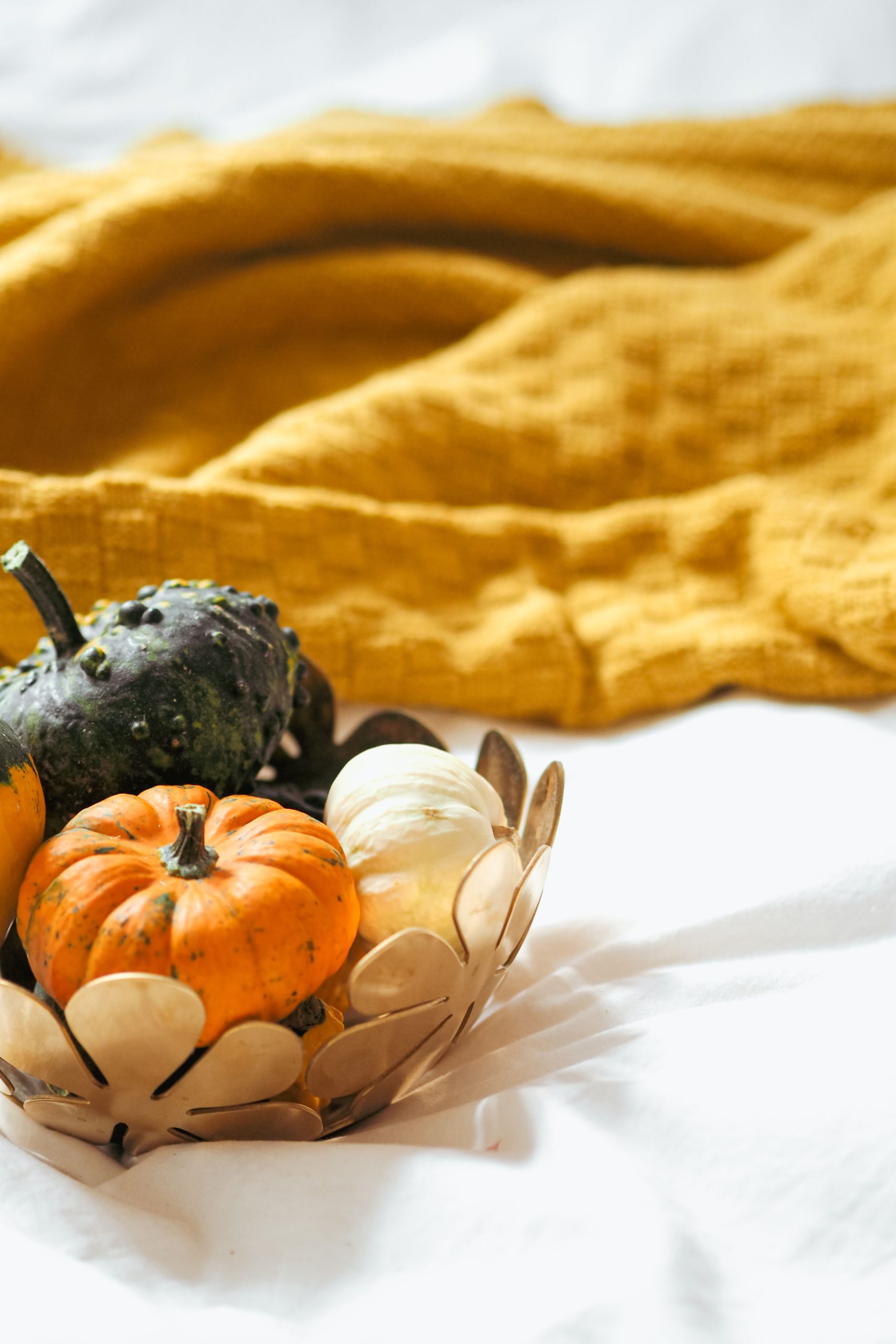 A metal bowl filled with mini pumpkins on a cozy yellow blanket, perfect fall decor.