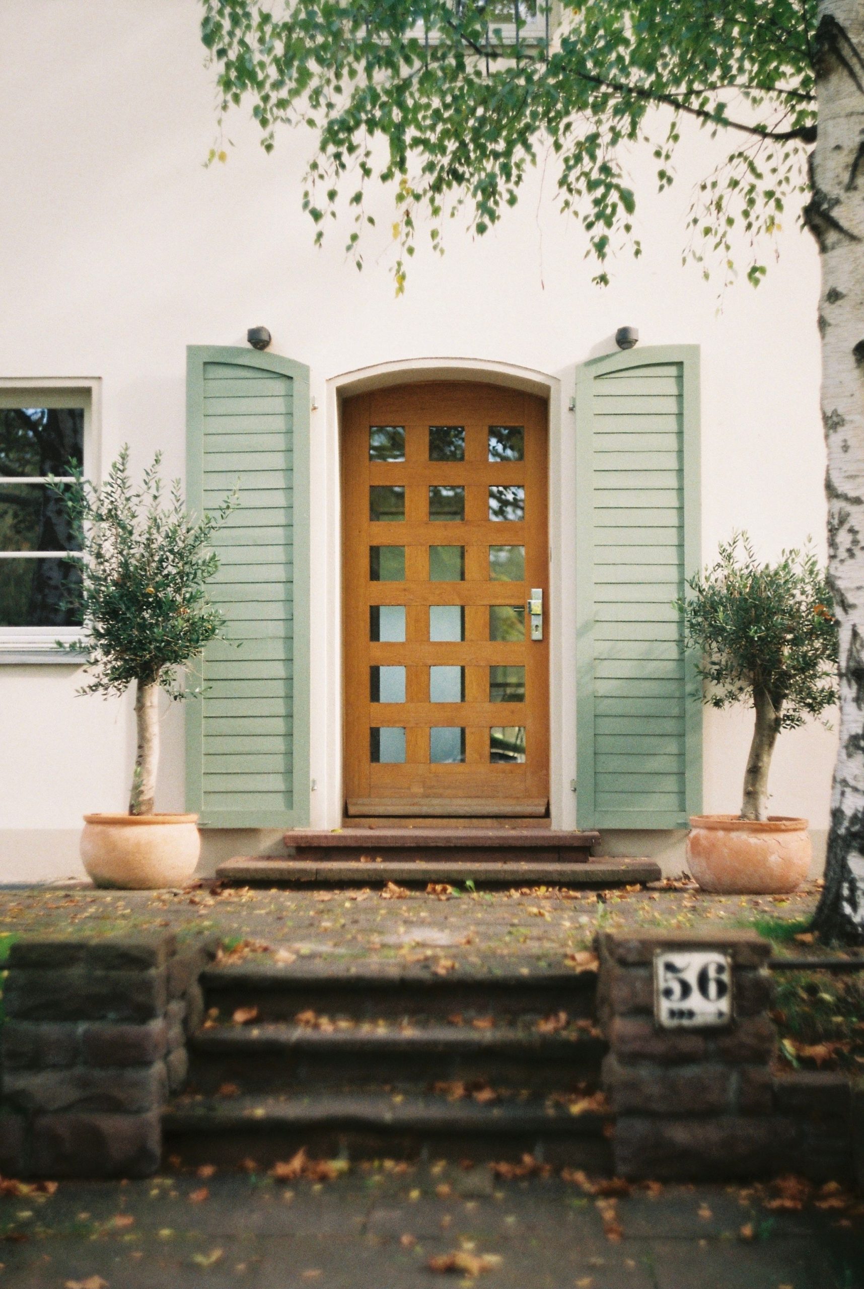 A quaint entrance featuring a wooden door with green shutters, potted plants, and decorative stone steps.
