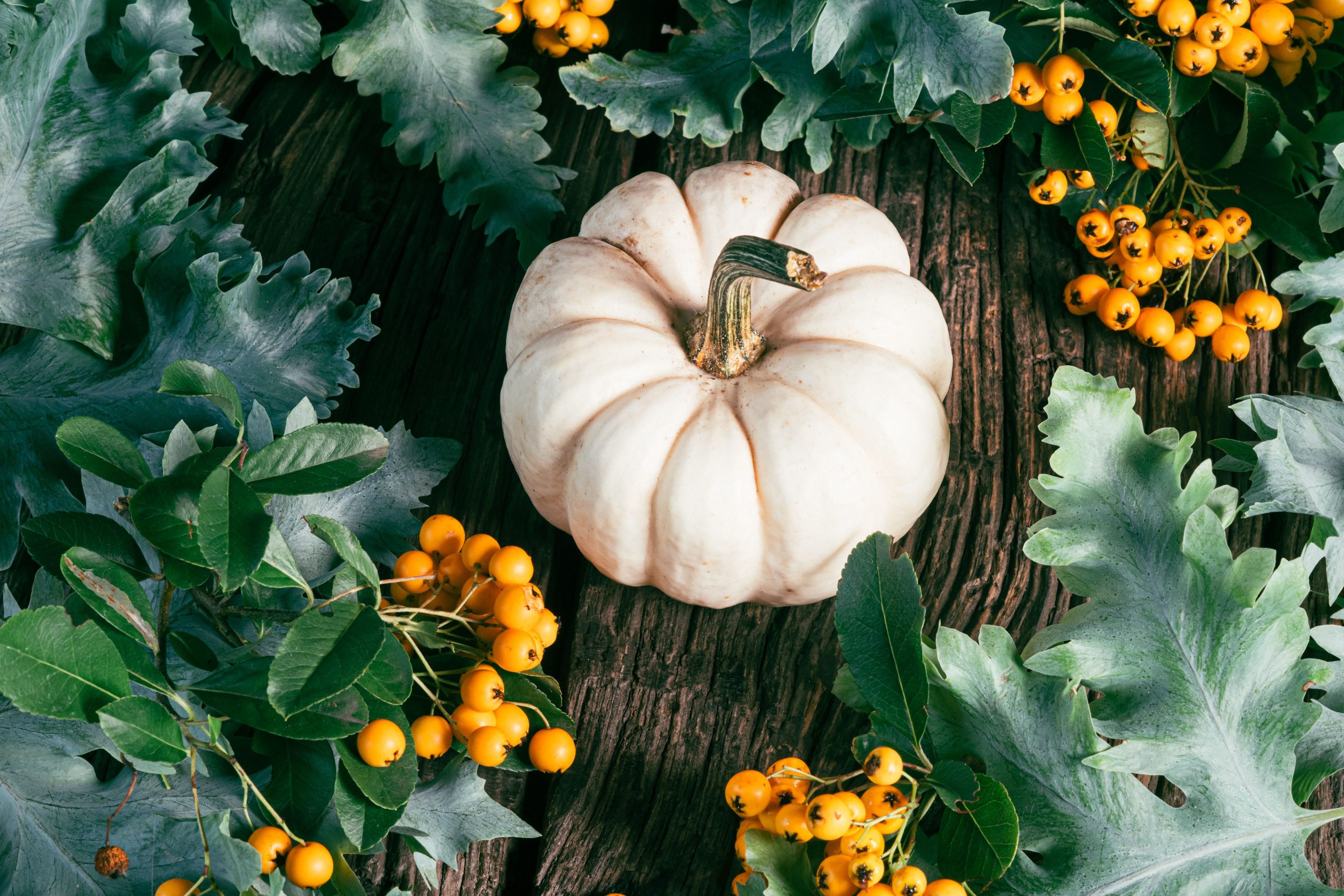 A rustic flat lay featuring a white pumpkin surrounded by vibrant leaves and berries, perfect for autumn themes.