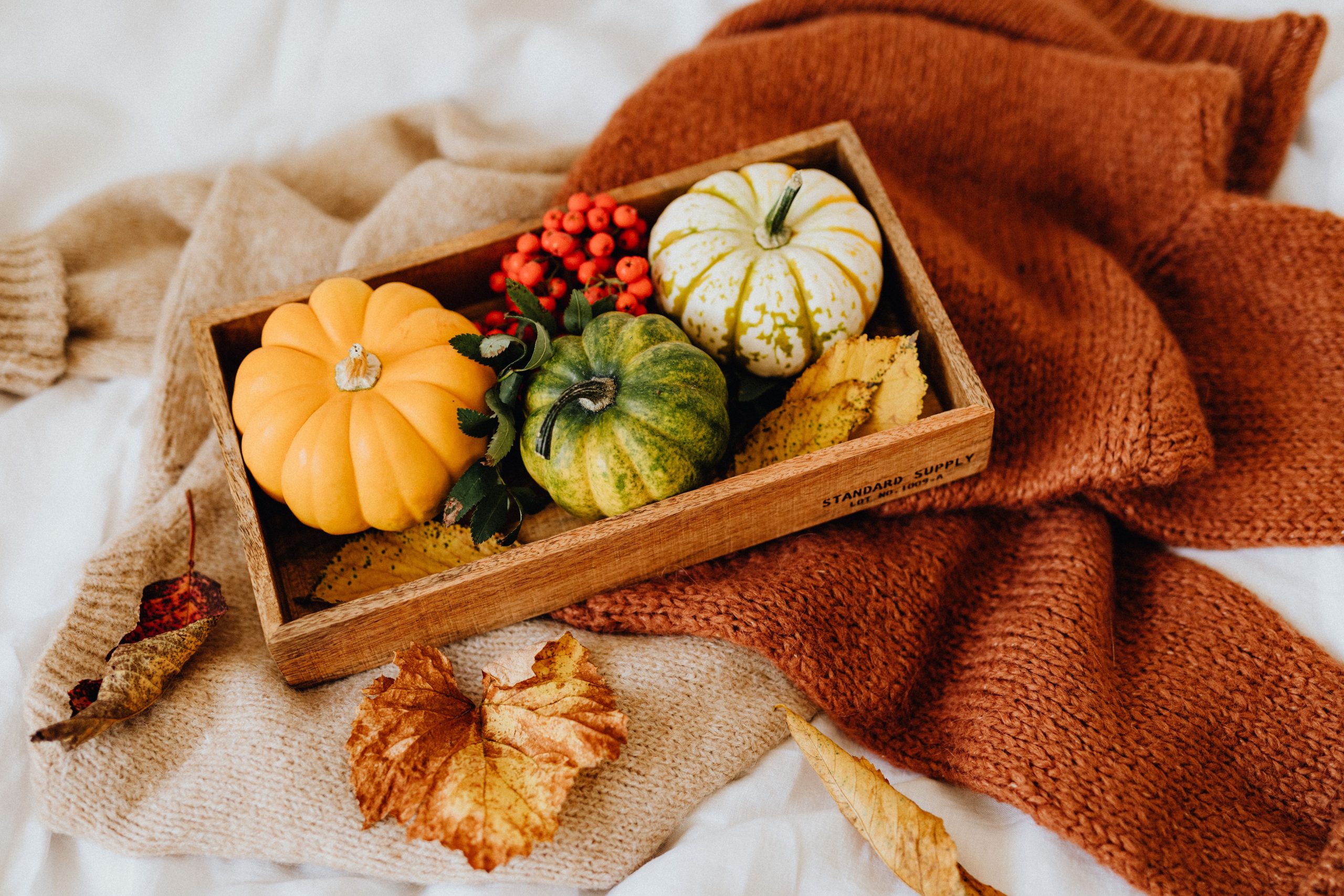 A top view of pumpkins and autumn leaves on knitted sweaters, evoking cozy fall vibes.