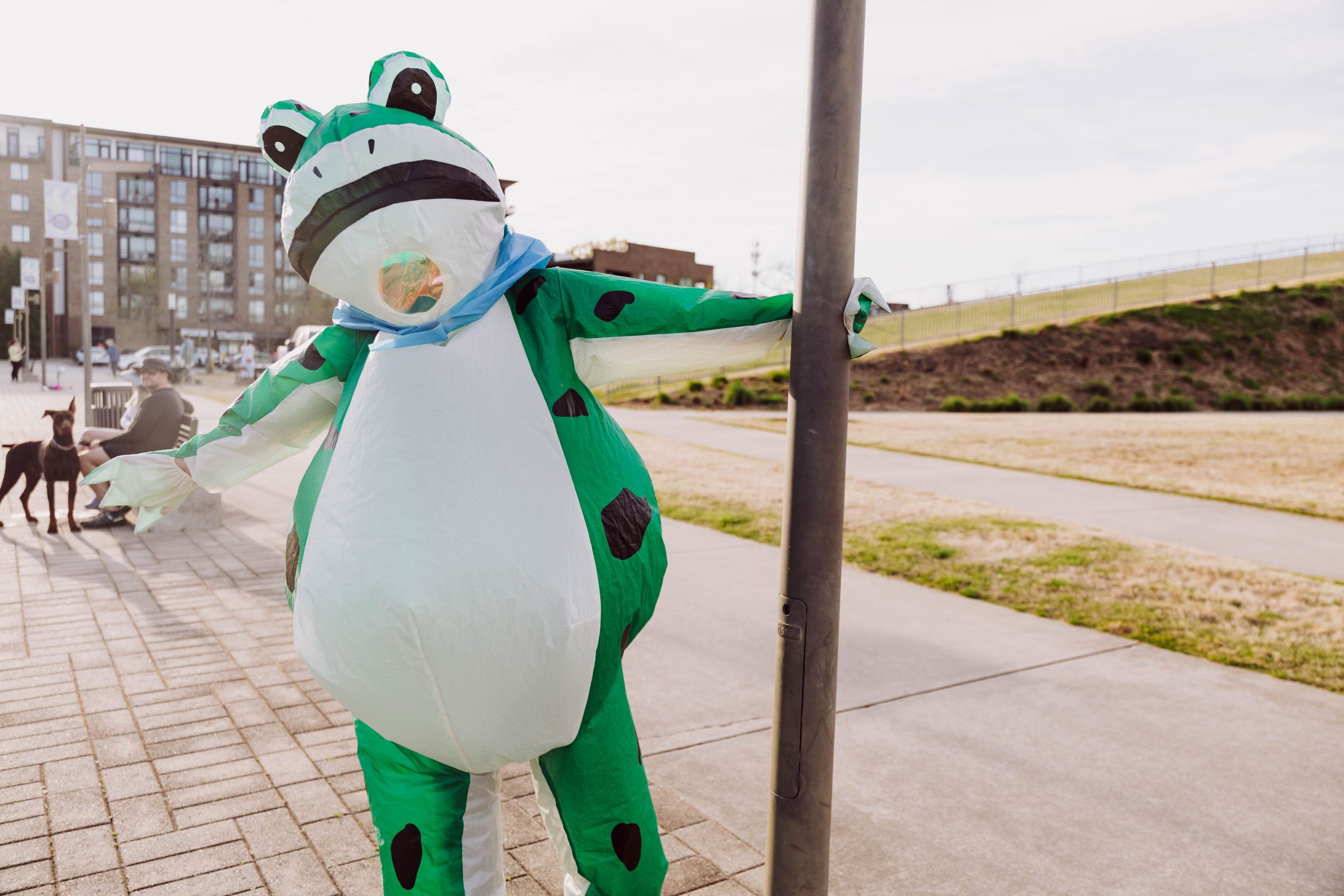 An adult in a green frog costume playing in a sunshine-filled park.